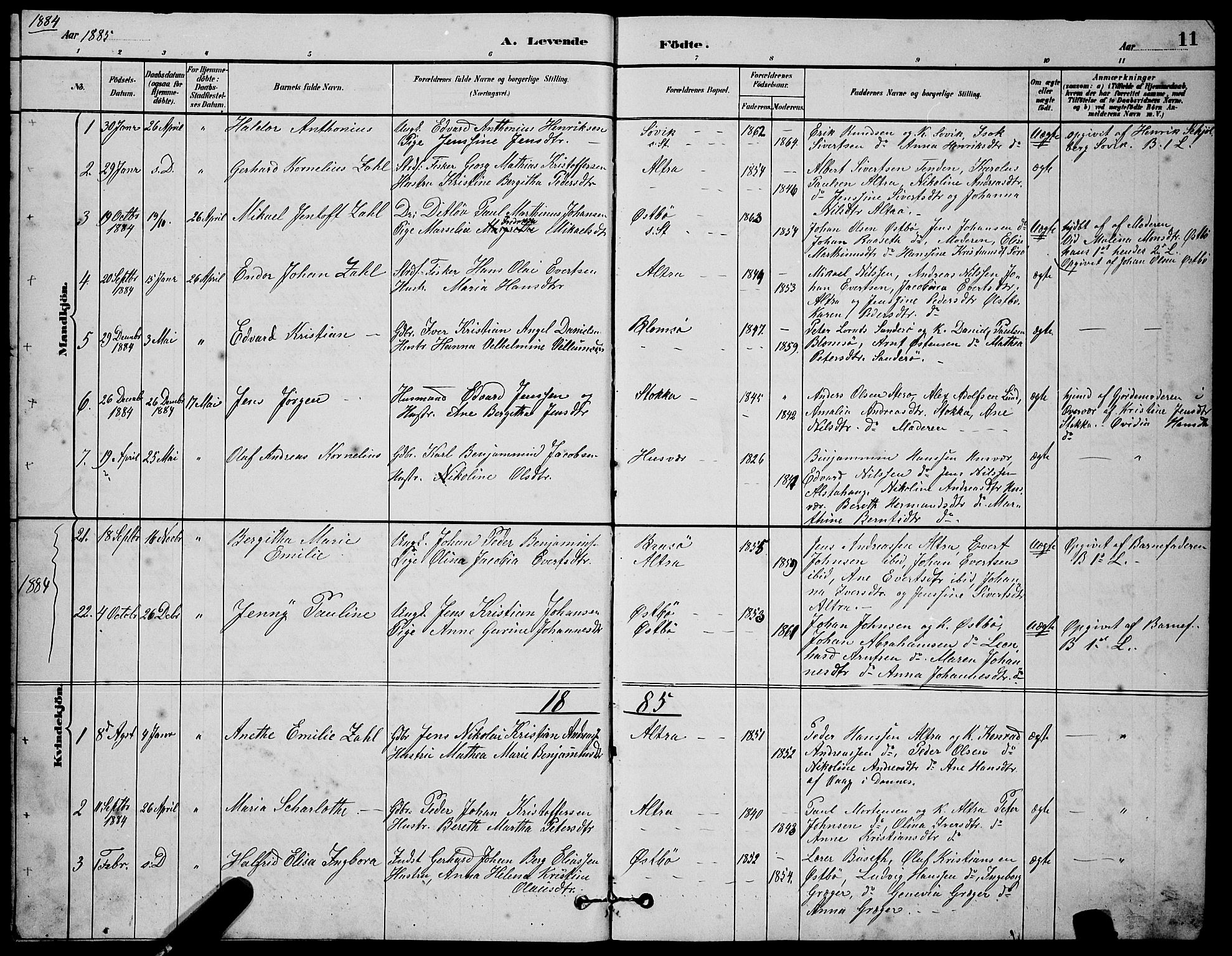 Ministerialprotokoller, klokkerbøker og fødselsregistre - Nordland, AV/SAT-A-1459/830/L0462: Parish register (copy) no. 830C04, 1882-1895, p. 11