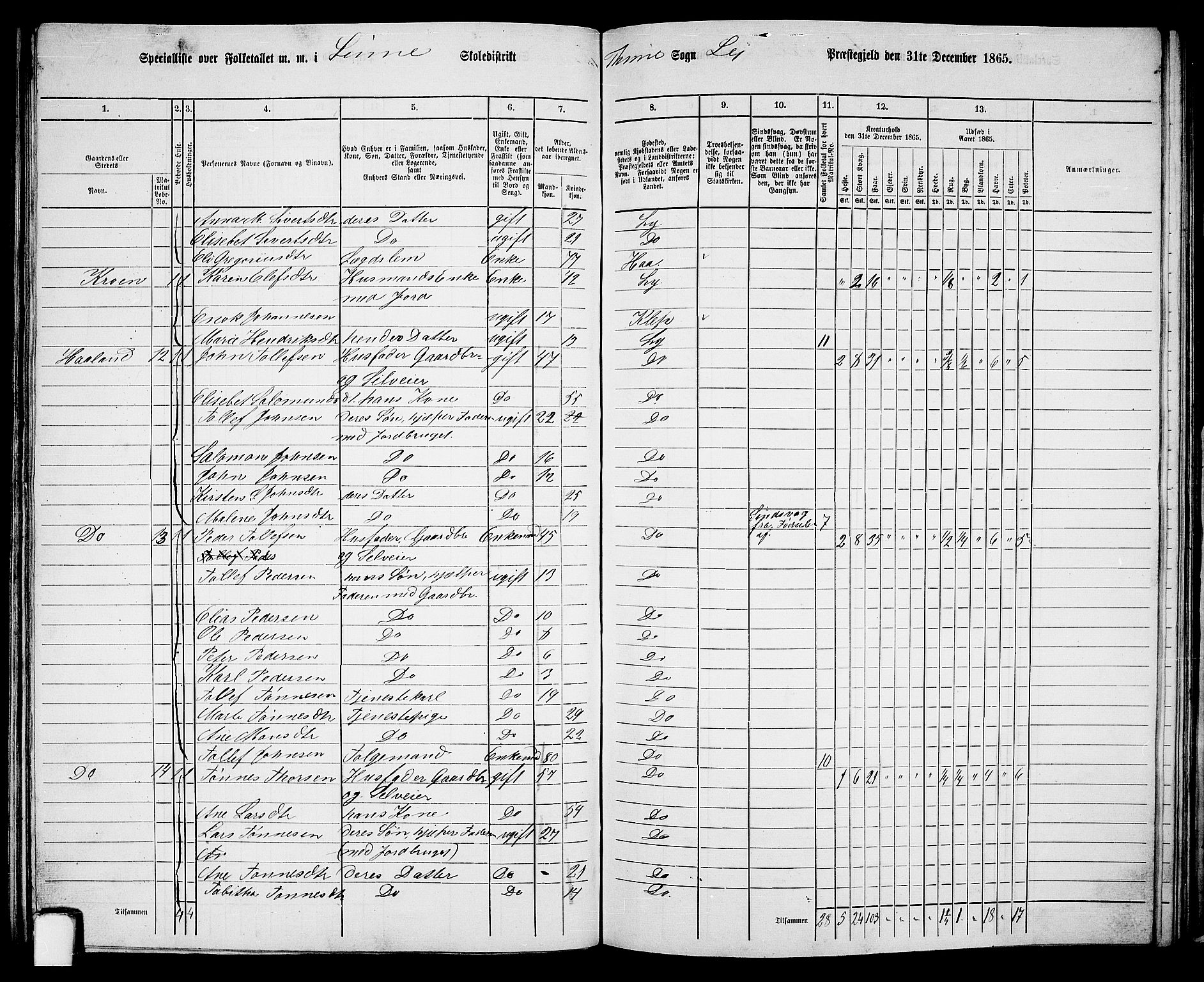 RA, 1865 census for Lye, 1865, p. 116