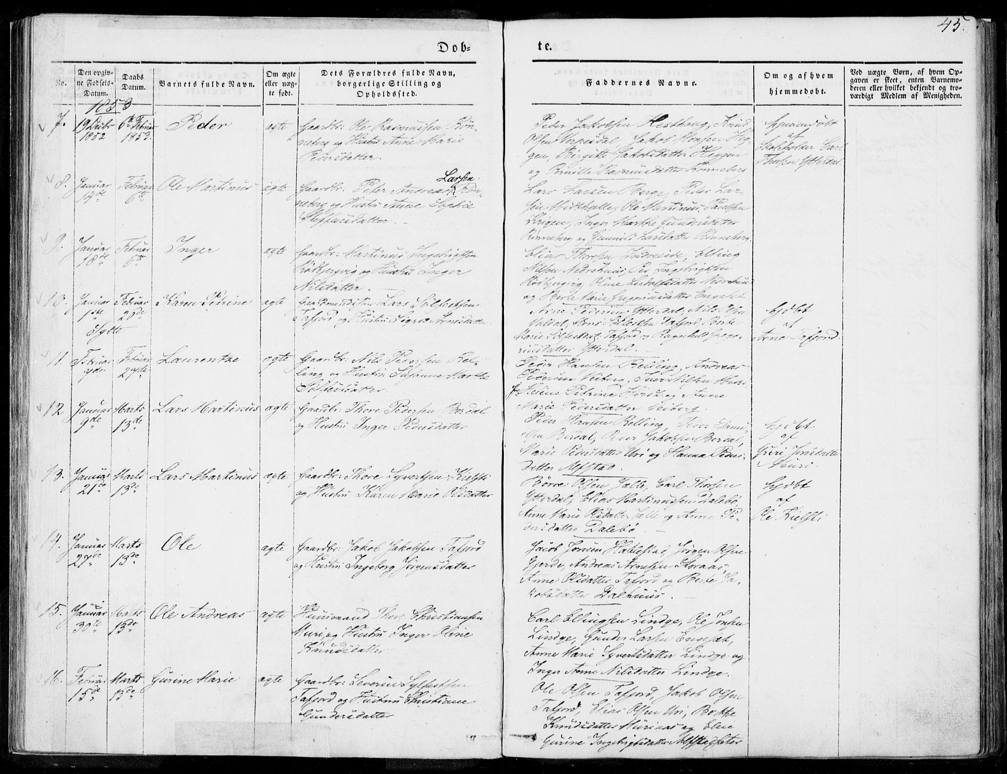 Ministerialprotokoller, klokkerbøker og fødselsregistre - Møre og Romsdal, AV/SAT-A-1454/519/L0249: Parish register (official) no. 519A08, 1846-1868, p. 45