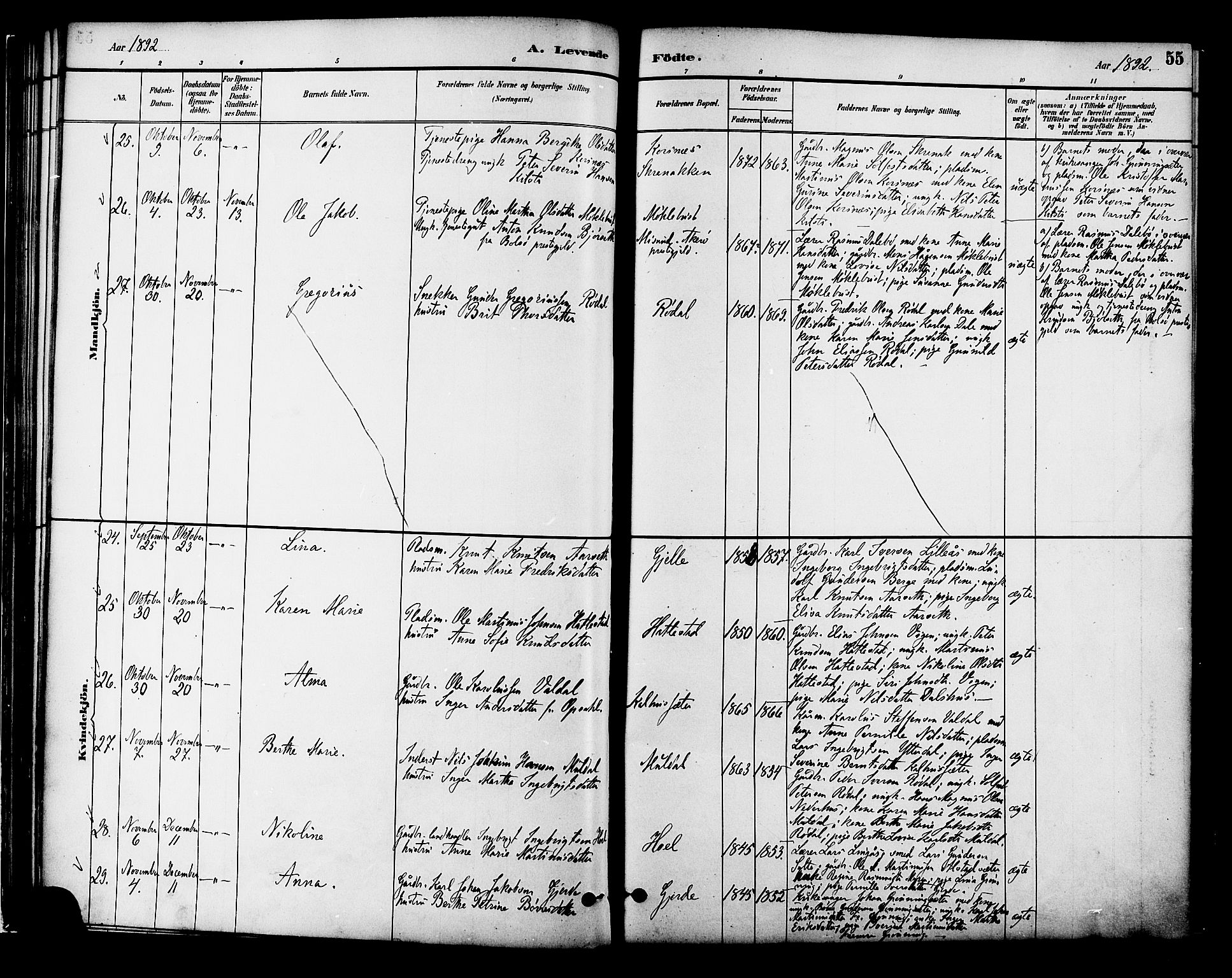 Ministerialprotokoller, klokkerbøker og fødselsregistre - Møre og Romsdal, AV/SAT-A-1454/519/L0255: Parish register (official) no. 519A14, 1884-1908, p. 55