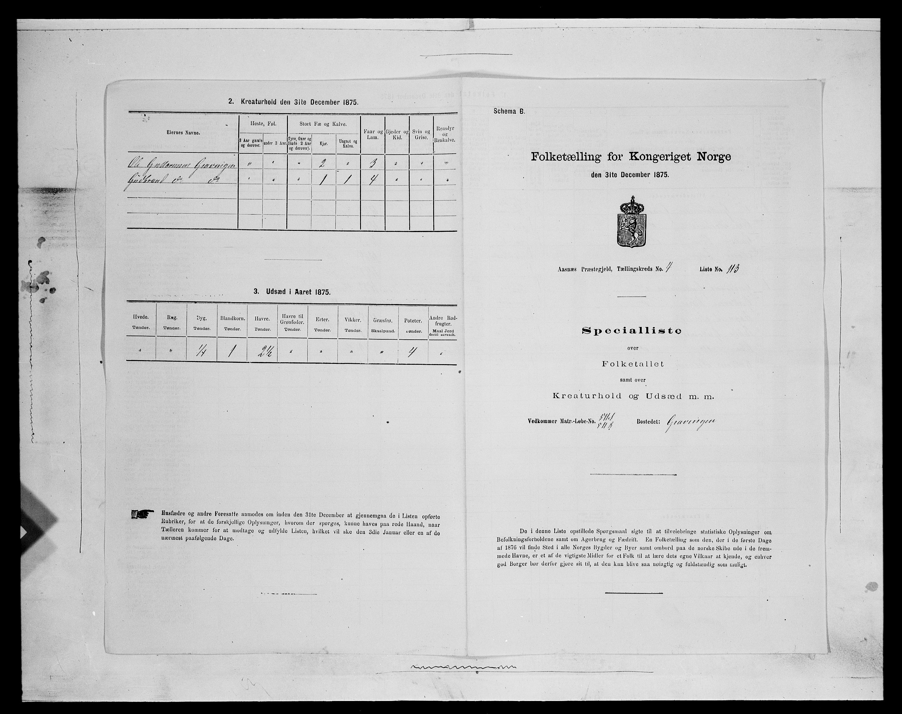 SAH, 1875 census for 0425P Åsnes, 1875, p. 680