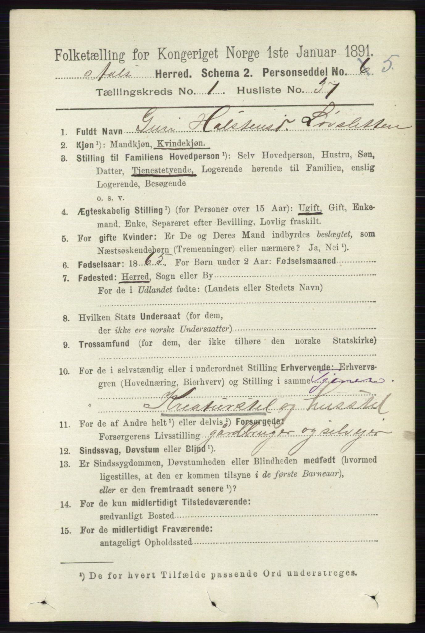 RA, 1891 census for 0619 Ål, 1891, p. 258