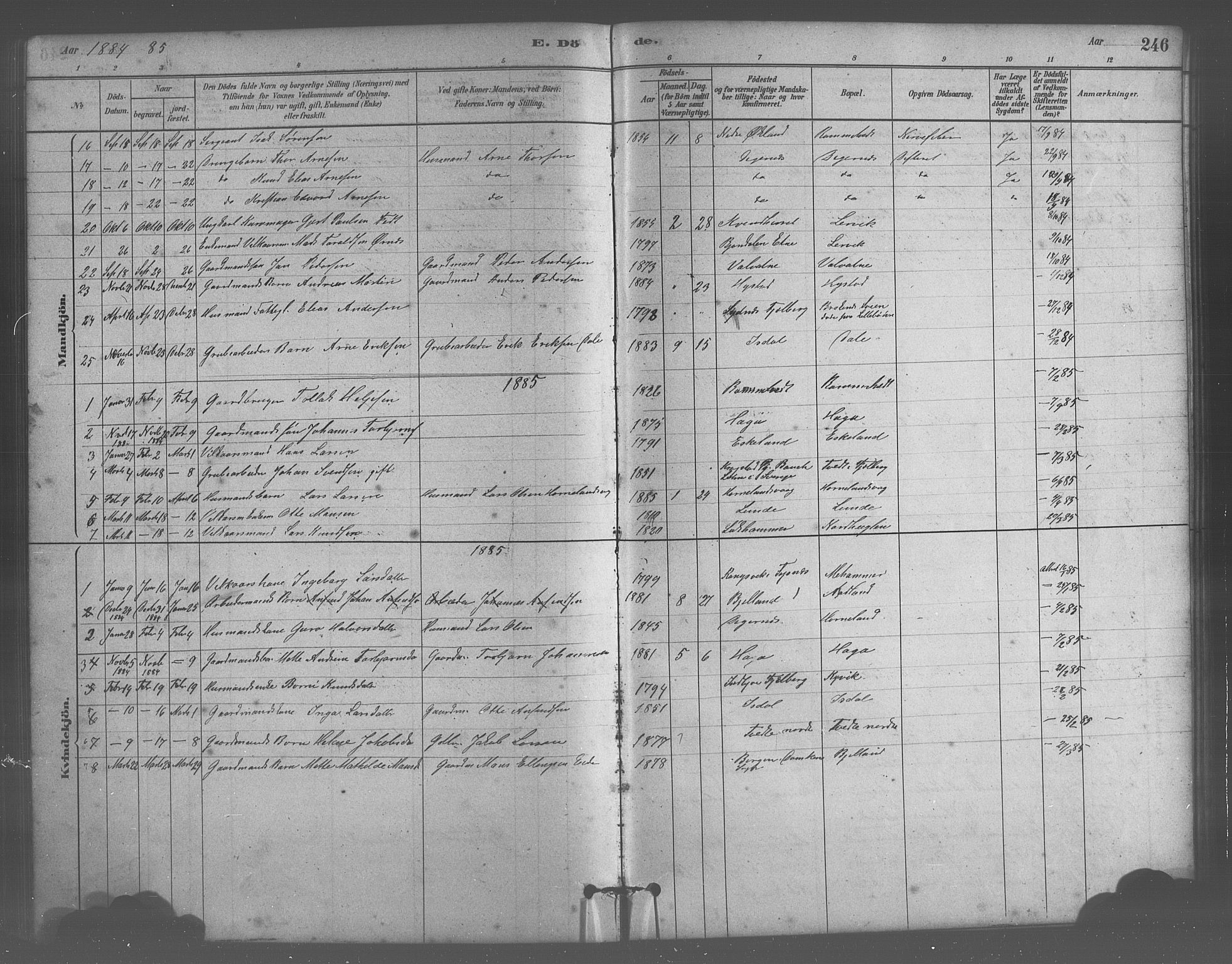 Stord sokneprestembete, AV/SAB-A-78201/H/Hab: Parish register (copy) no. A 2, 1879-1909, p. 246