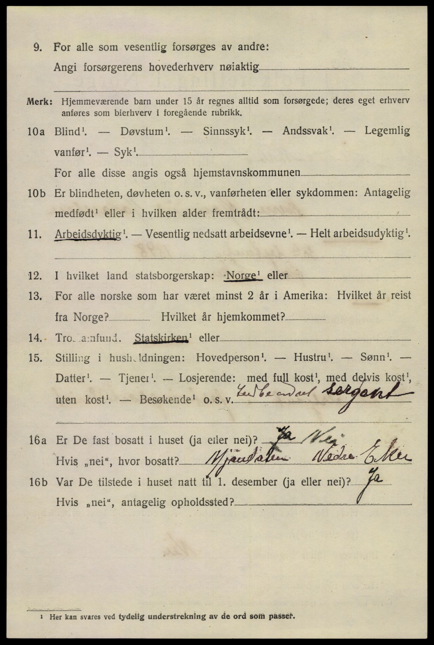 SAKO, 1920 census for Nøtterøy, 1920, p. 14676