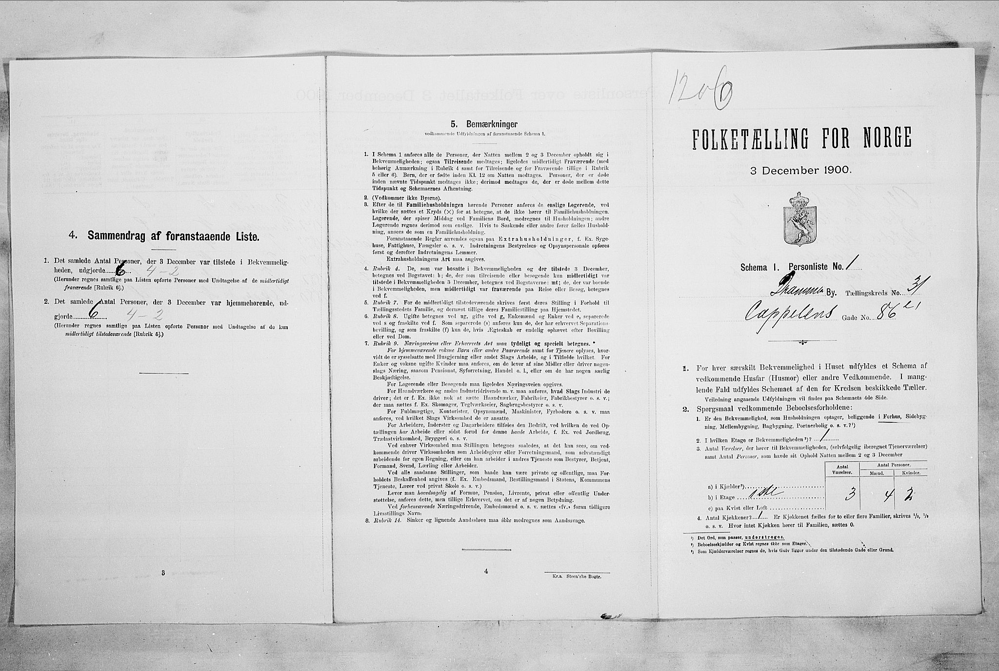 RA, 1900 census for Drammen, 1900, p. 4561