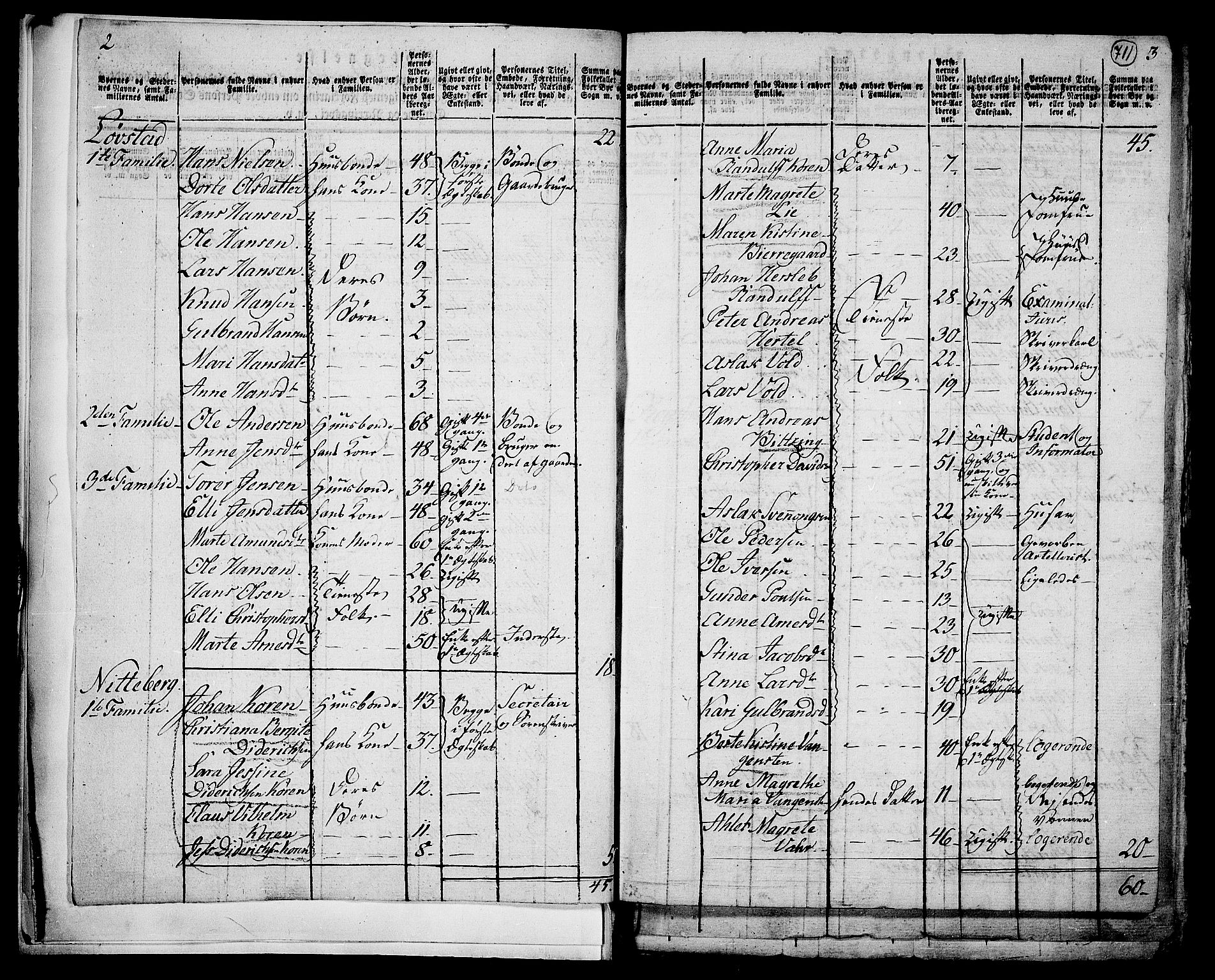 RA, 1801 census for 0234P Gjerdrum, 1801, p. 710b-711a