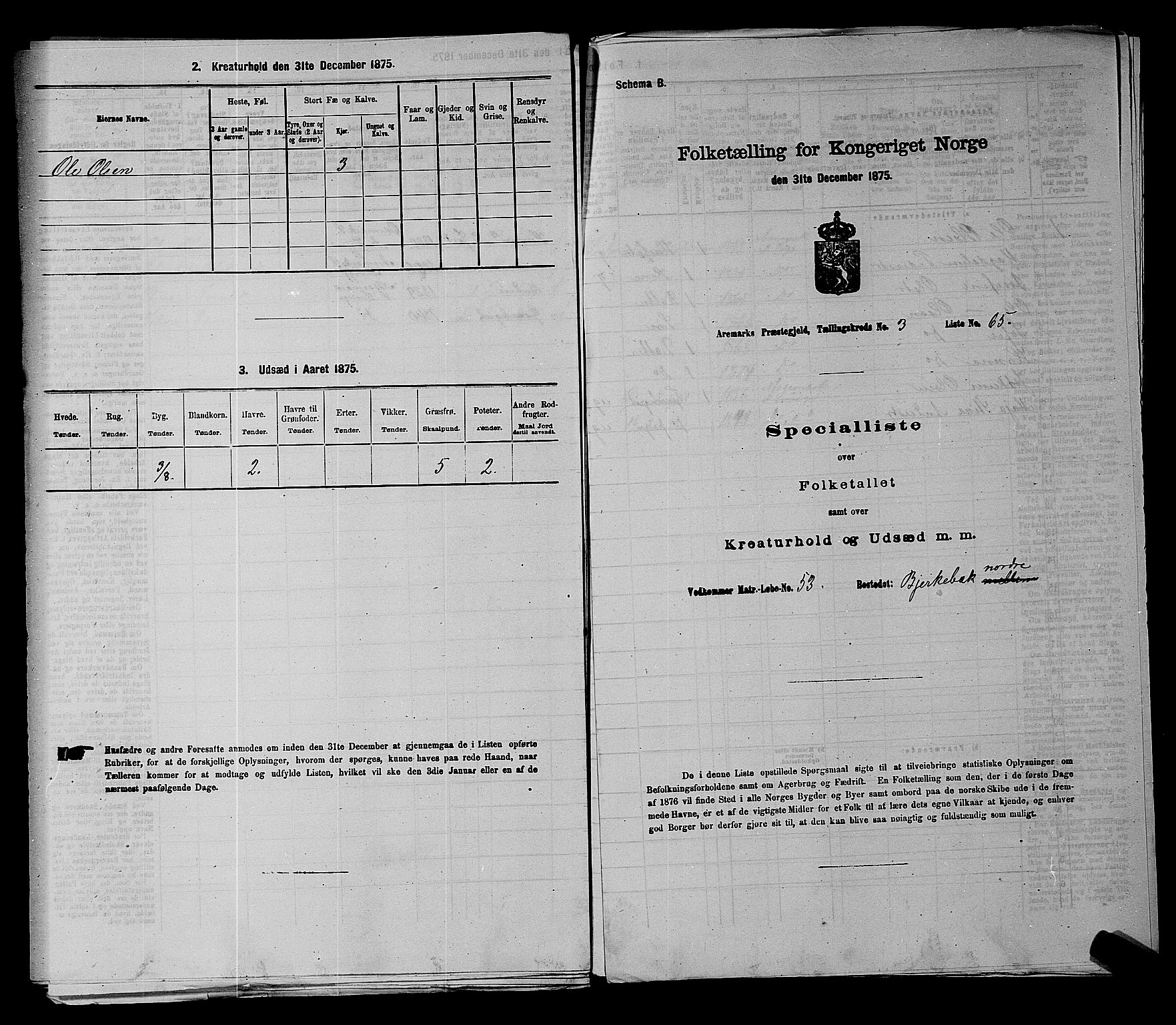RA, 1875 census for 0118P Aremark, 1875, p. 488