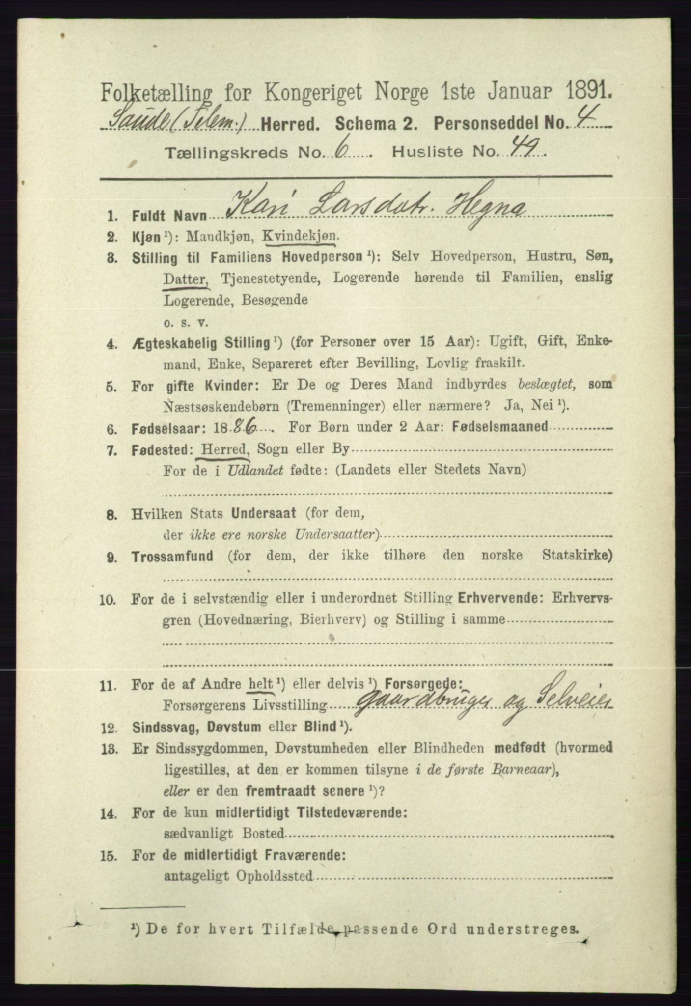 RA, 1891 census for 0822 Sauherad, 1891, p. 1963