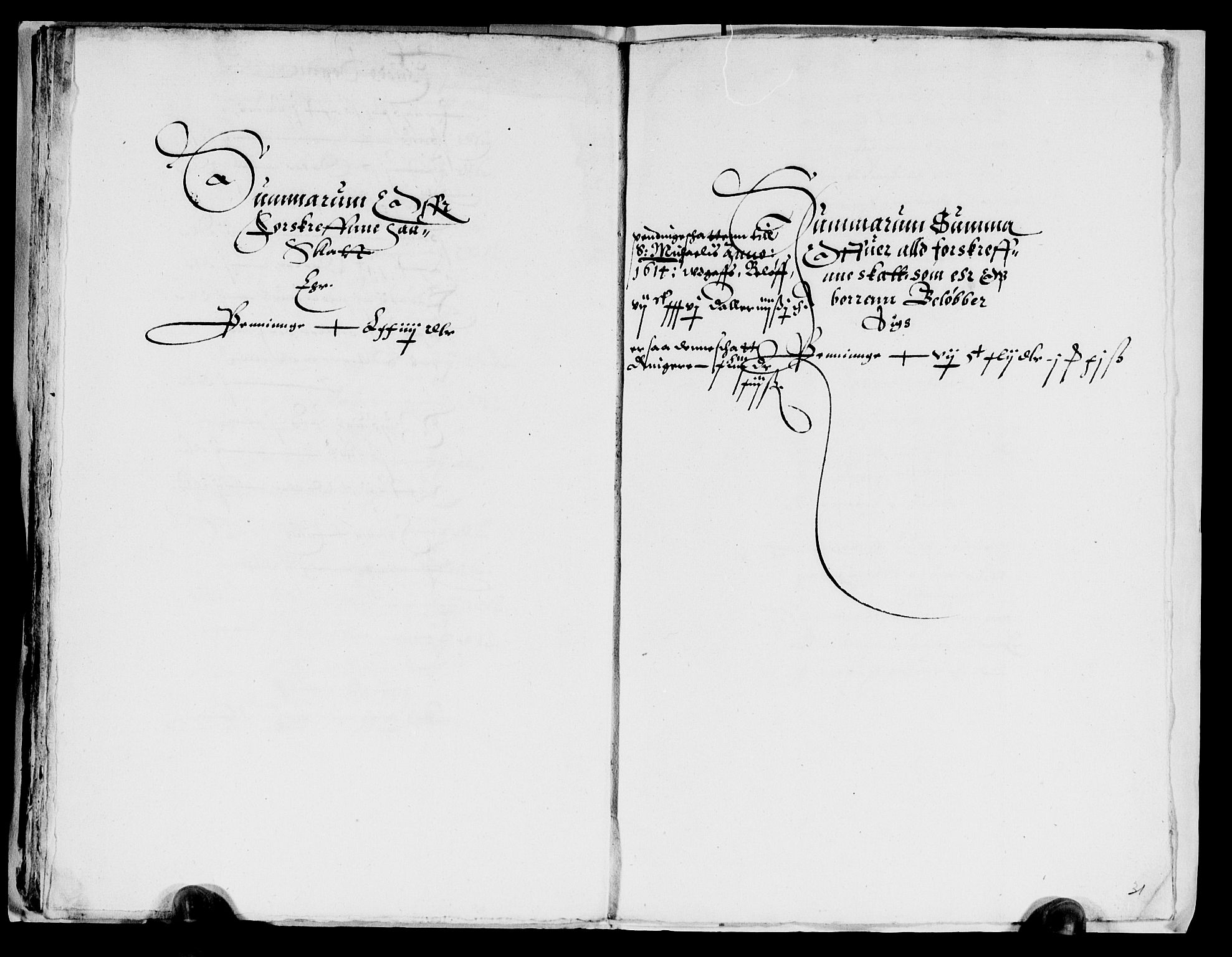 Rentekammeret inntil 1814, Reviderte regnskaper, Lensregnskaper, AV/RA-EA-5023/R/Rb/Rbq/L0010: Nedenes len. Mandals len. Råbyggelag., 1617-1619