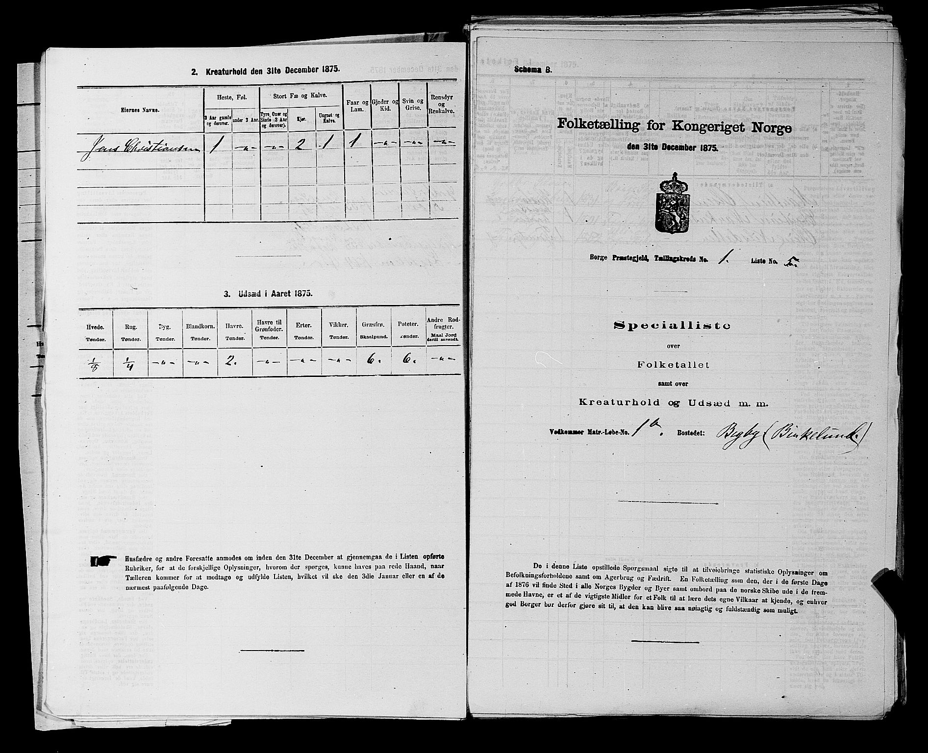 RA, 1875 census for 0113P Borge, 1875, p. 37