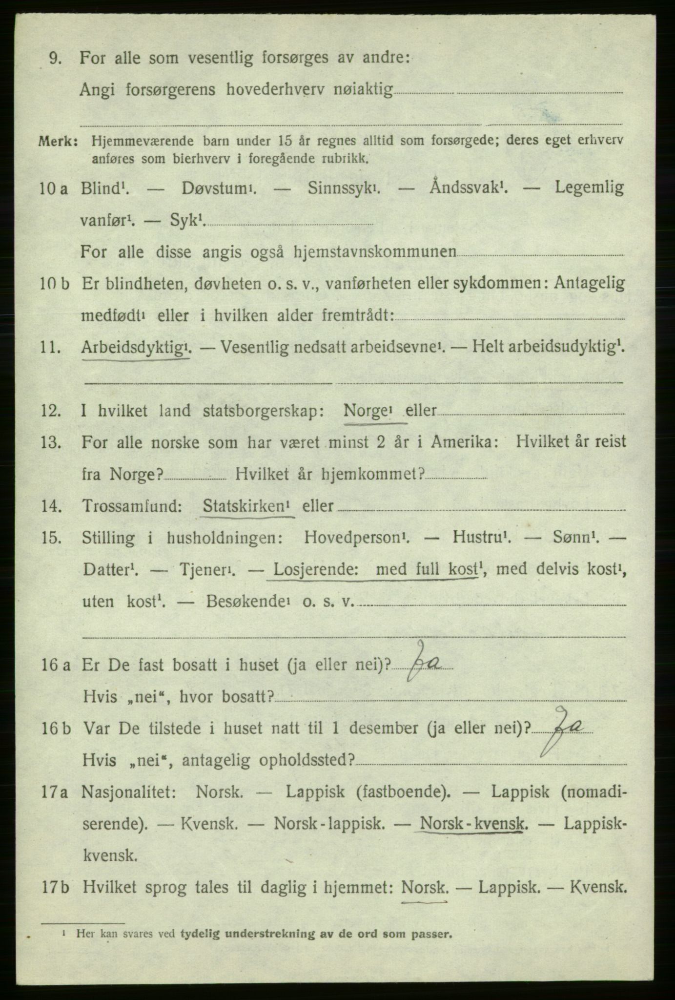 SATØ, 1920 census for Loppa, 1920, p. 1315