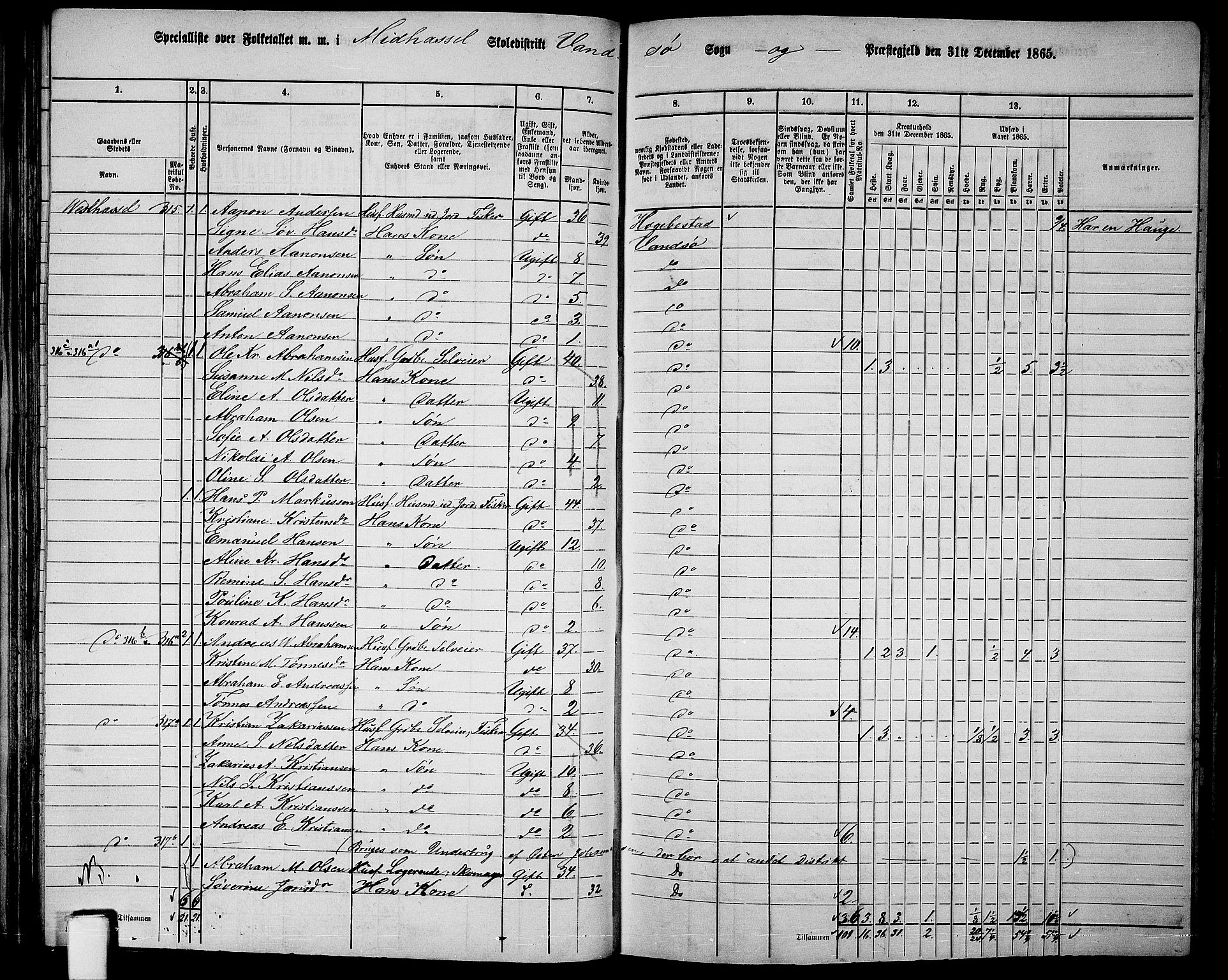 RA, 1865 census for Vanse/Vanse og Farsund, 1865, p. 100