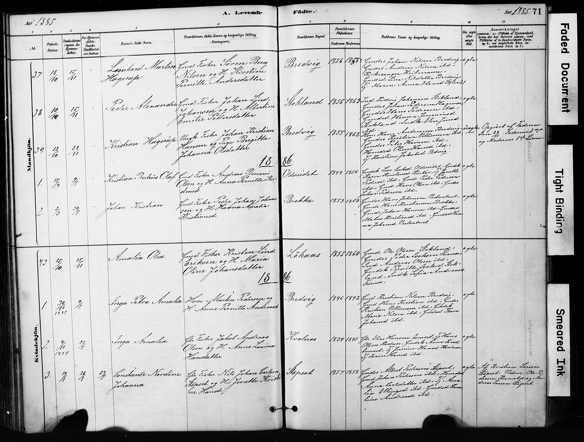 Ministerialprotokoller, klokkerbøker og fødselsregistre - Nordland, AV/SAT-A-1459/852/L0754: Parish register (copy) no. 852C05, 1878-1894, p. 71