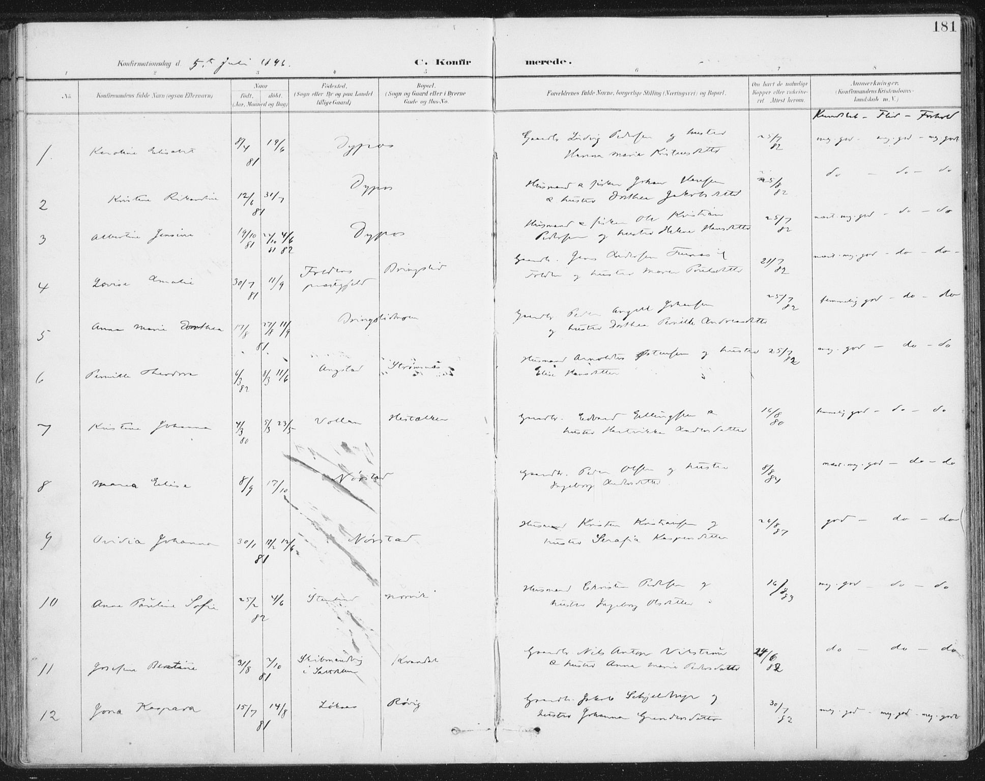 Ministerialprotokoller, klokkerbøker og fødselsregistre - Nordland, AV/SAT-A-1459/852/L0741: Parish register (official) no. 852A11, 1894-1917, p. 181