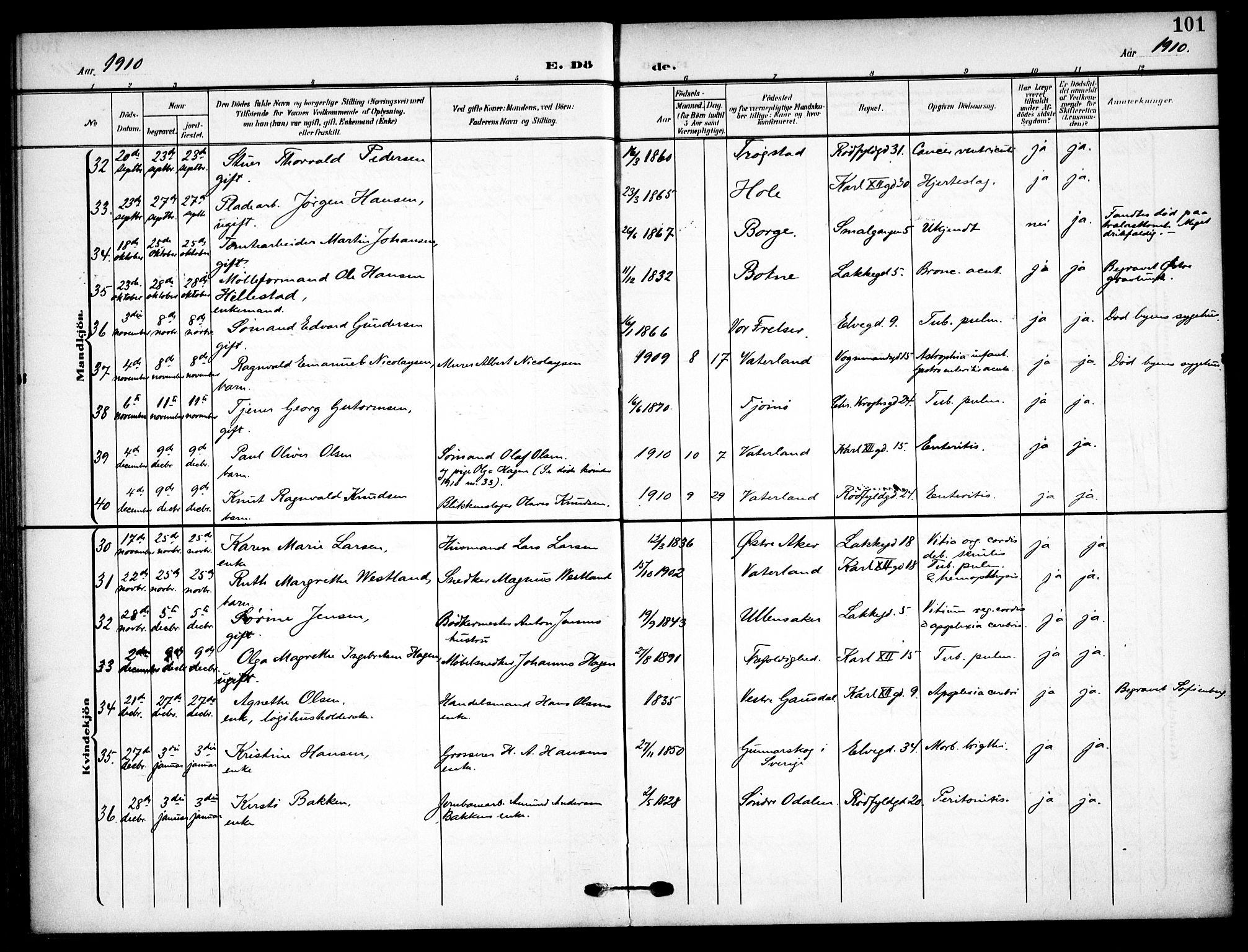 Vaterland prestekontor Kirkebøker, AV/SAO-A-10880/F/Fa/L0002: Parish register (official) no. 2, 1907-1921, p. 101