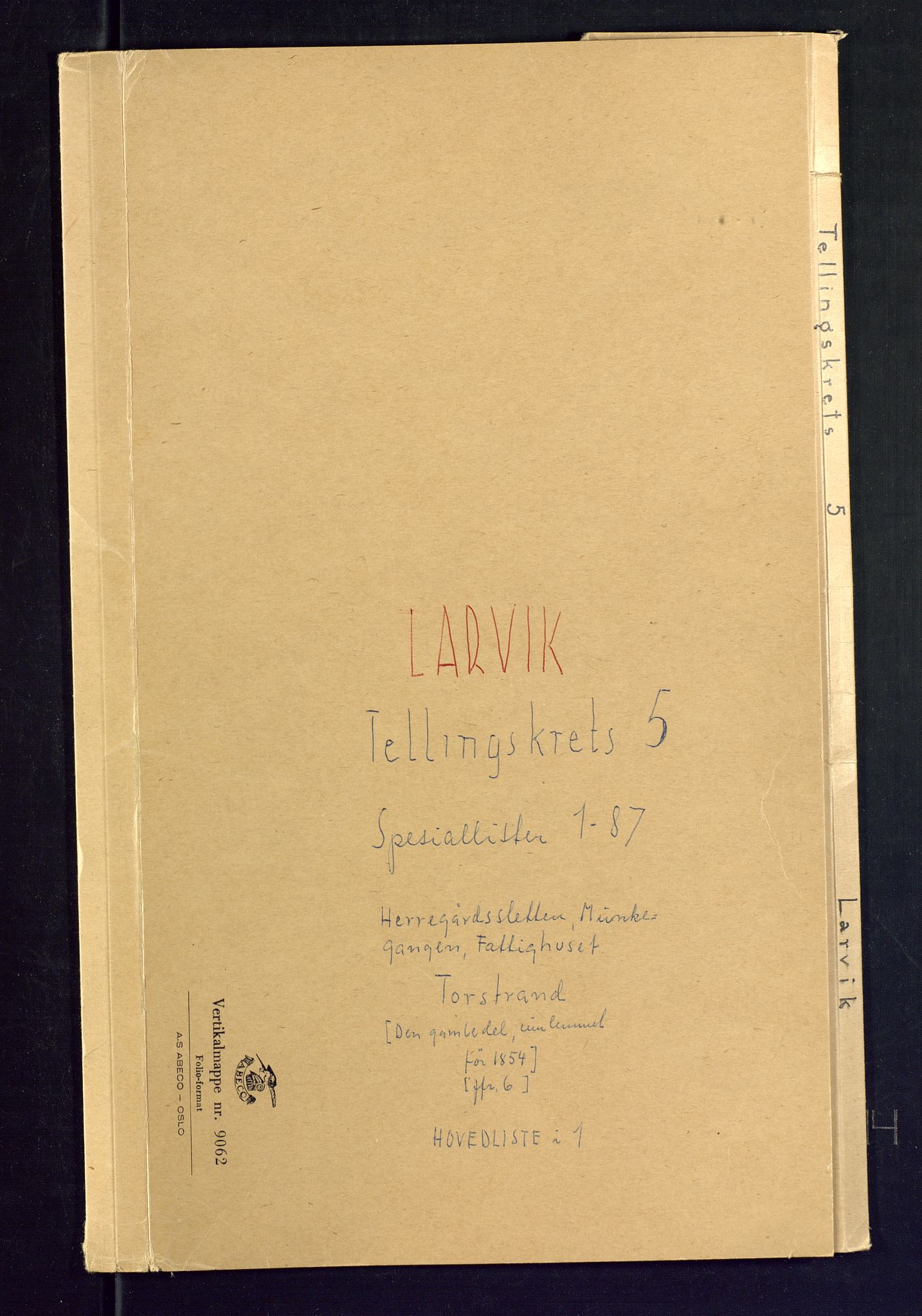 SAKO, 1875 census for 0707P Larvik, 1875, p. 17