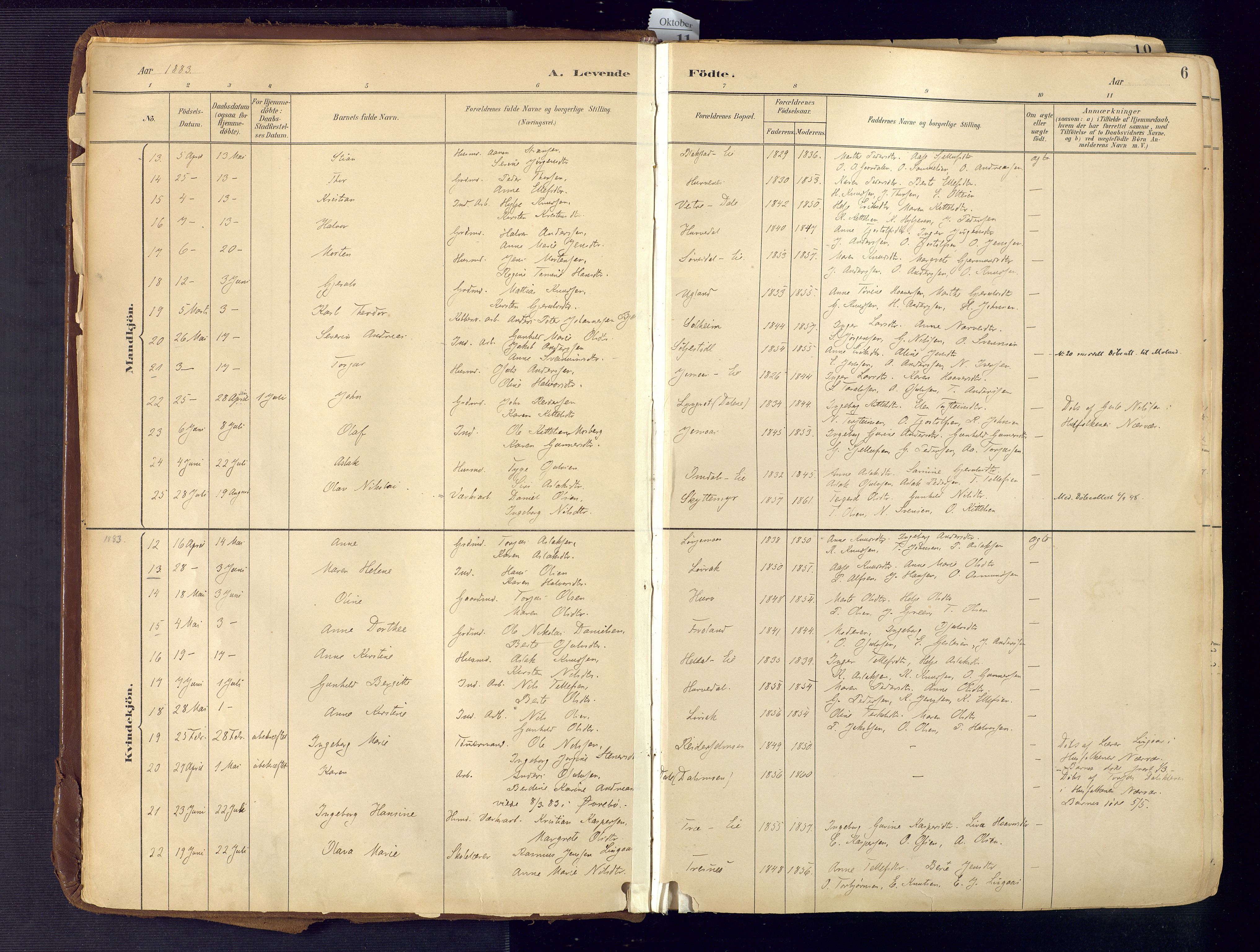 Froland sokneprestkontor, AV/SAK-1111-0013/F/Fa/L0005: Parish register (official) no. A 5, 1882-1921, p. 6