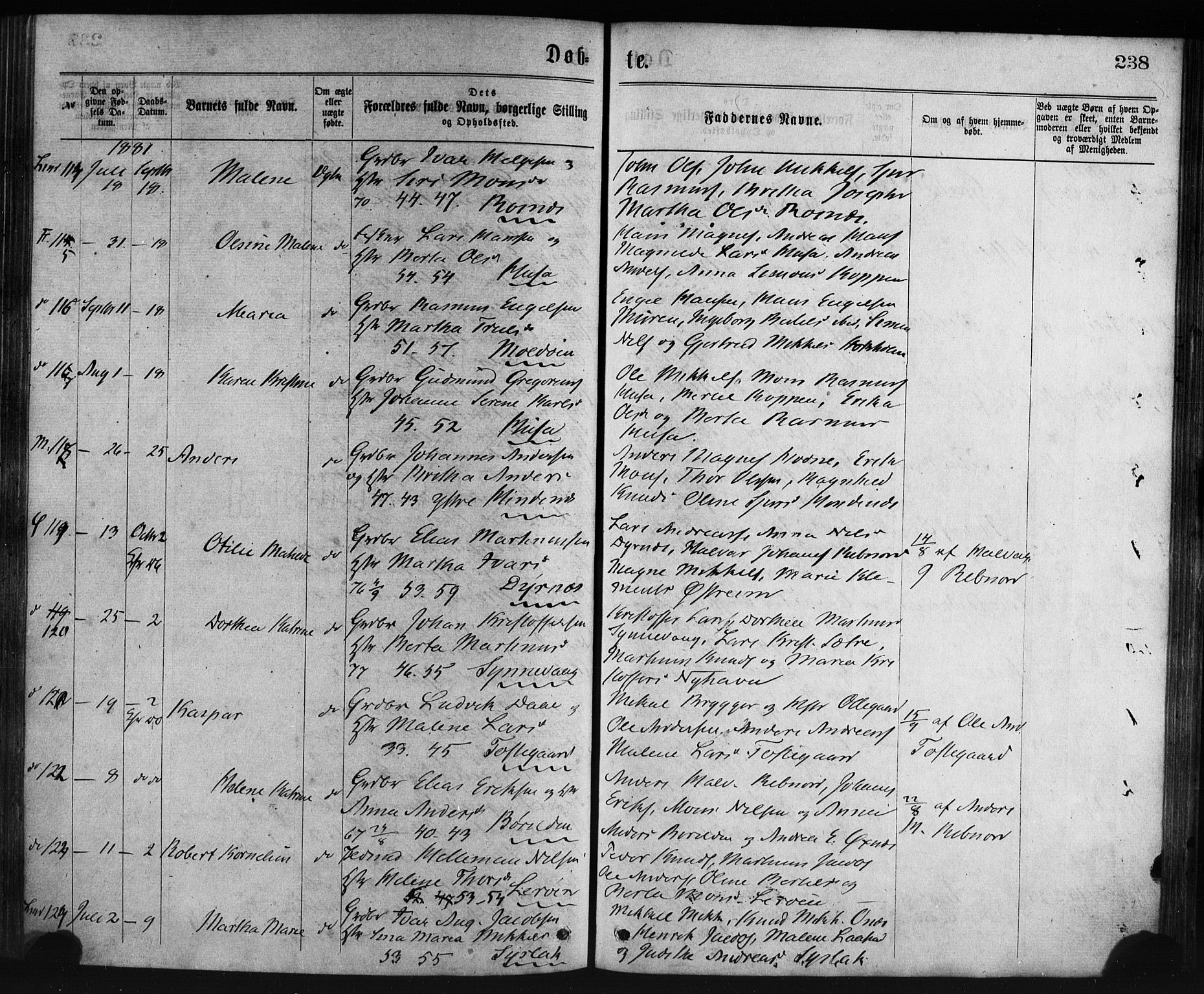 Lindås Sokneprestembete, SAB/A-76701/H/Haa: Parish register (official) no. A 18, 1869-1885, p. 238