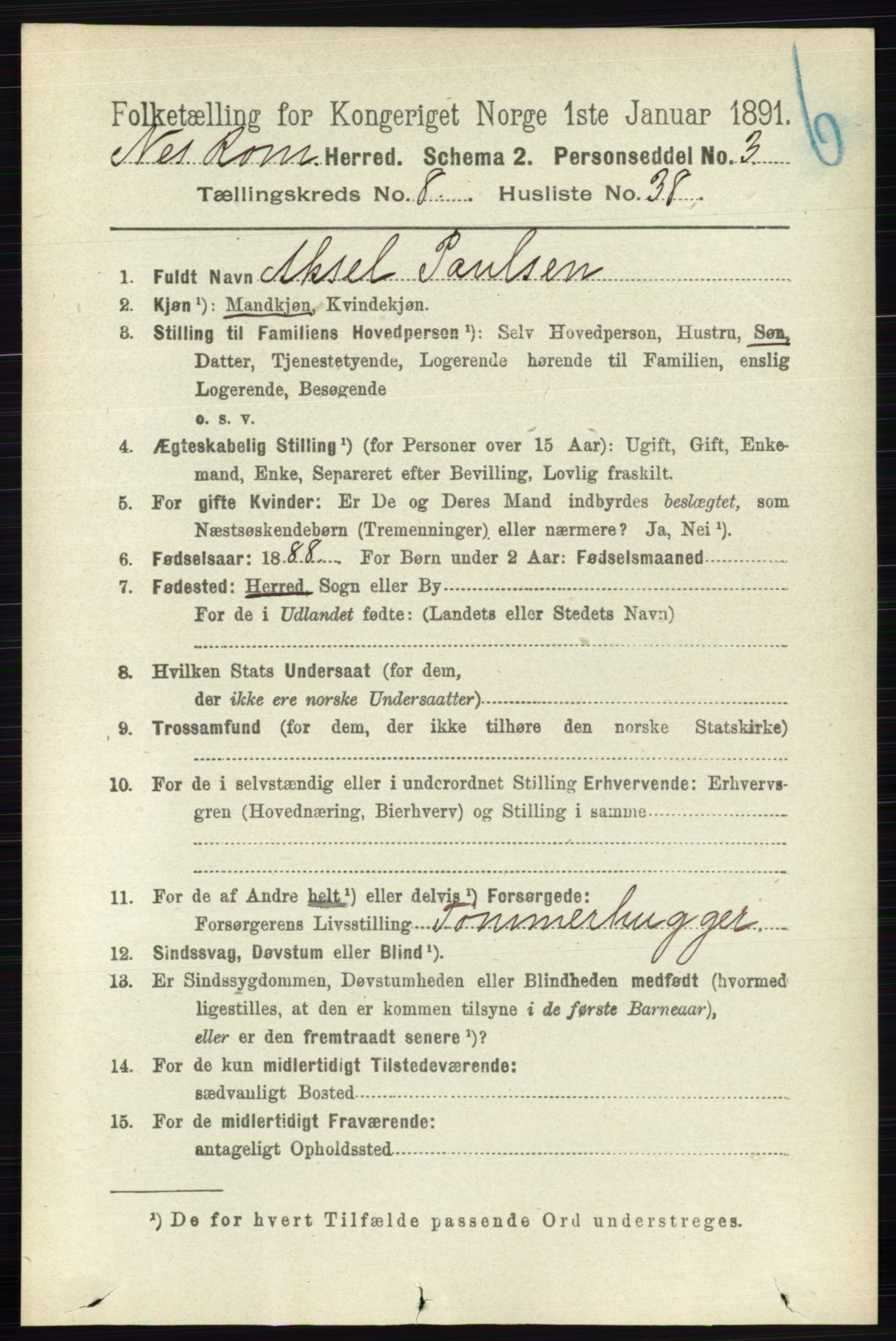 RA, 1891 census for 0236 Nes, 1891, p. 4843