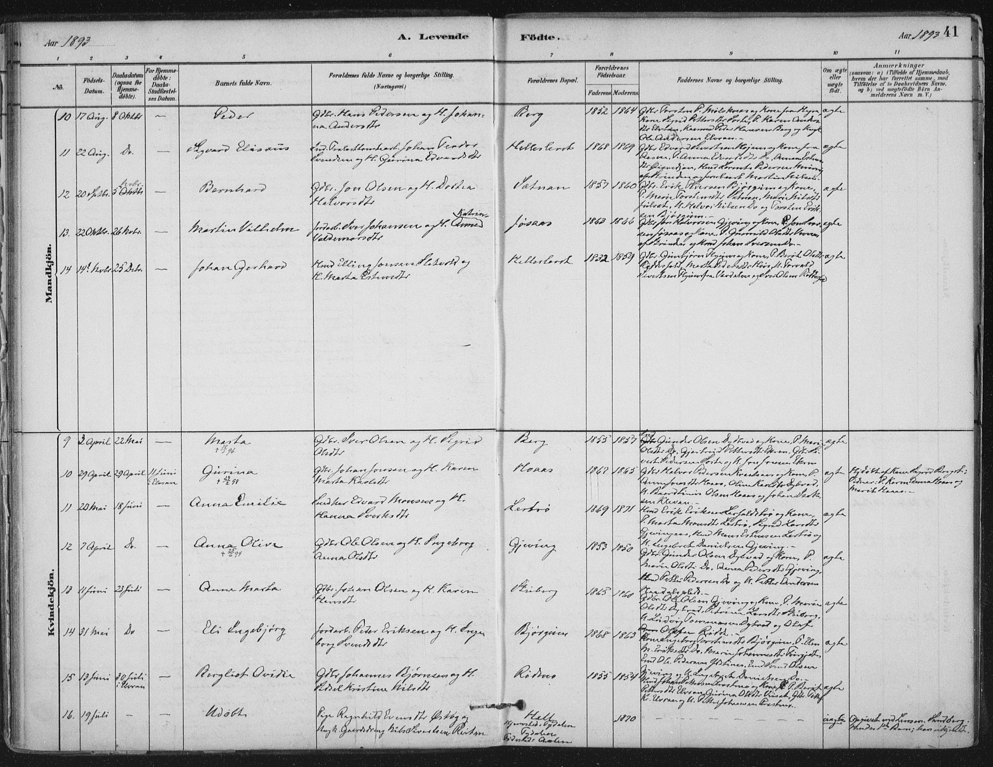 Ministerialprotokoller, klokkerbøker og fødselsregistre - Nord-Trøndelag, AV/SAT-A-1458/710/L0095: Parish register (official) no. 710A01, 1880-1914, p. 41