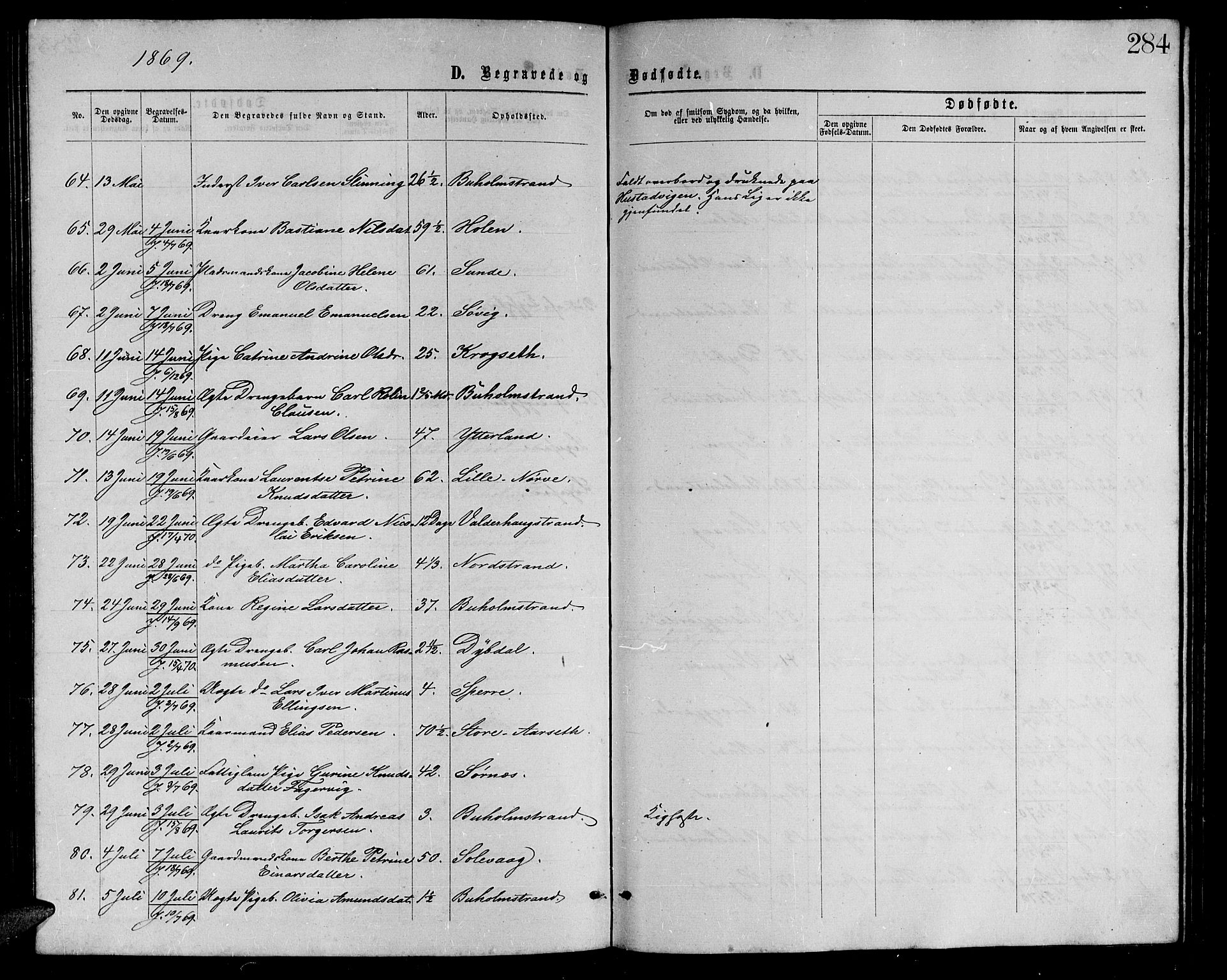 Ministerialprotokoller, klokkerbøker og fødselsregistre - Møre og Romsdal, AV/SAT-A-1454/528/L0428: Parish register (copy) no. 528C09, 1864-1880, p. 284