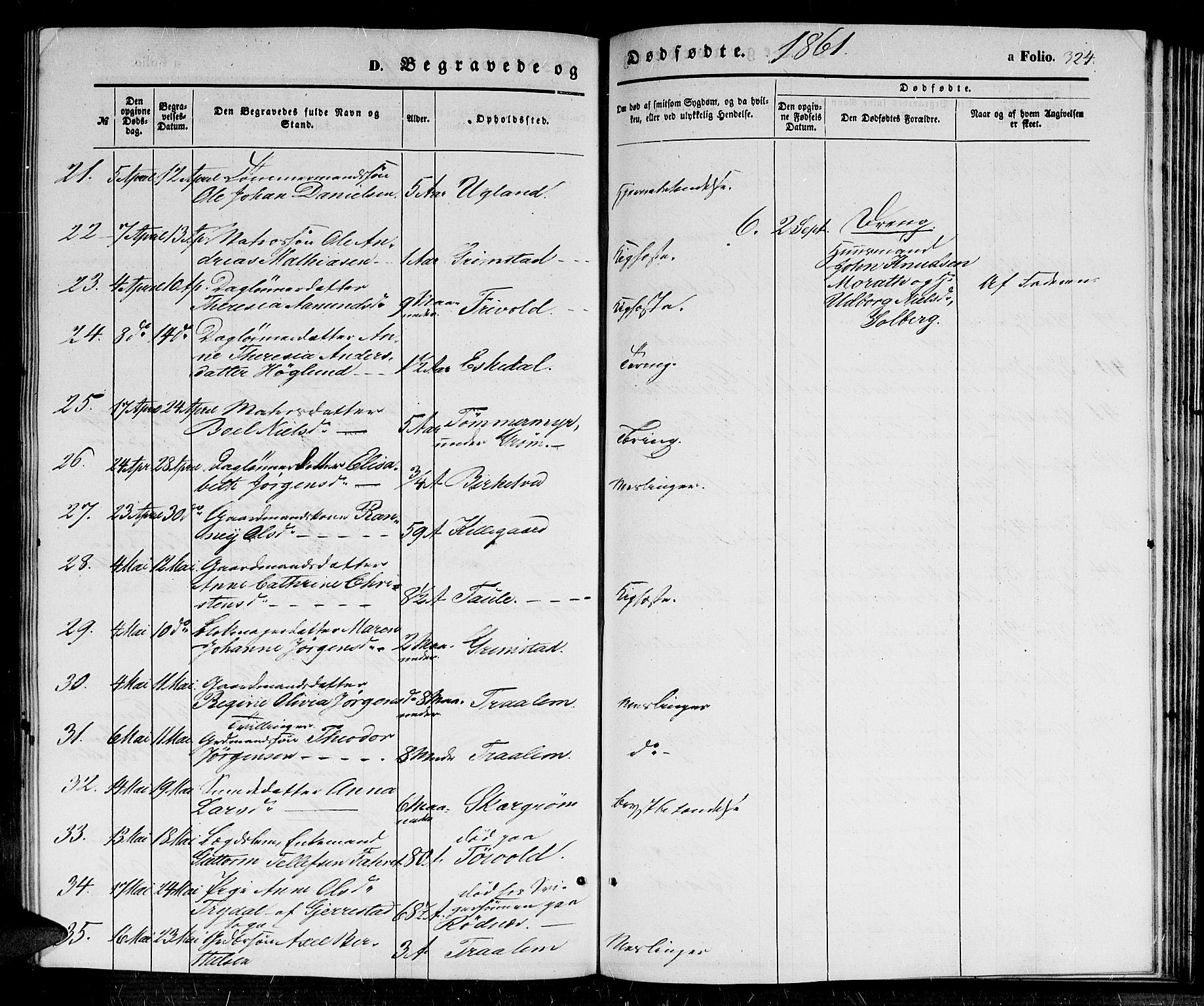 Fjære sokneprestkontor, AV/SAK-1111-0011/F/Fb/L0008: Parish register (copy) no. B 8, 1854-1867, p. 324