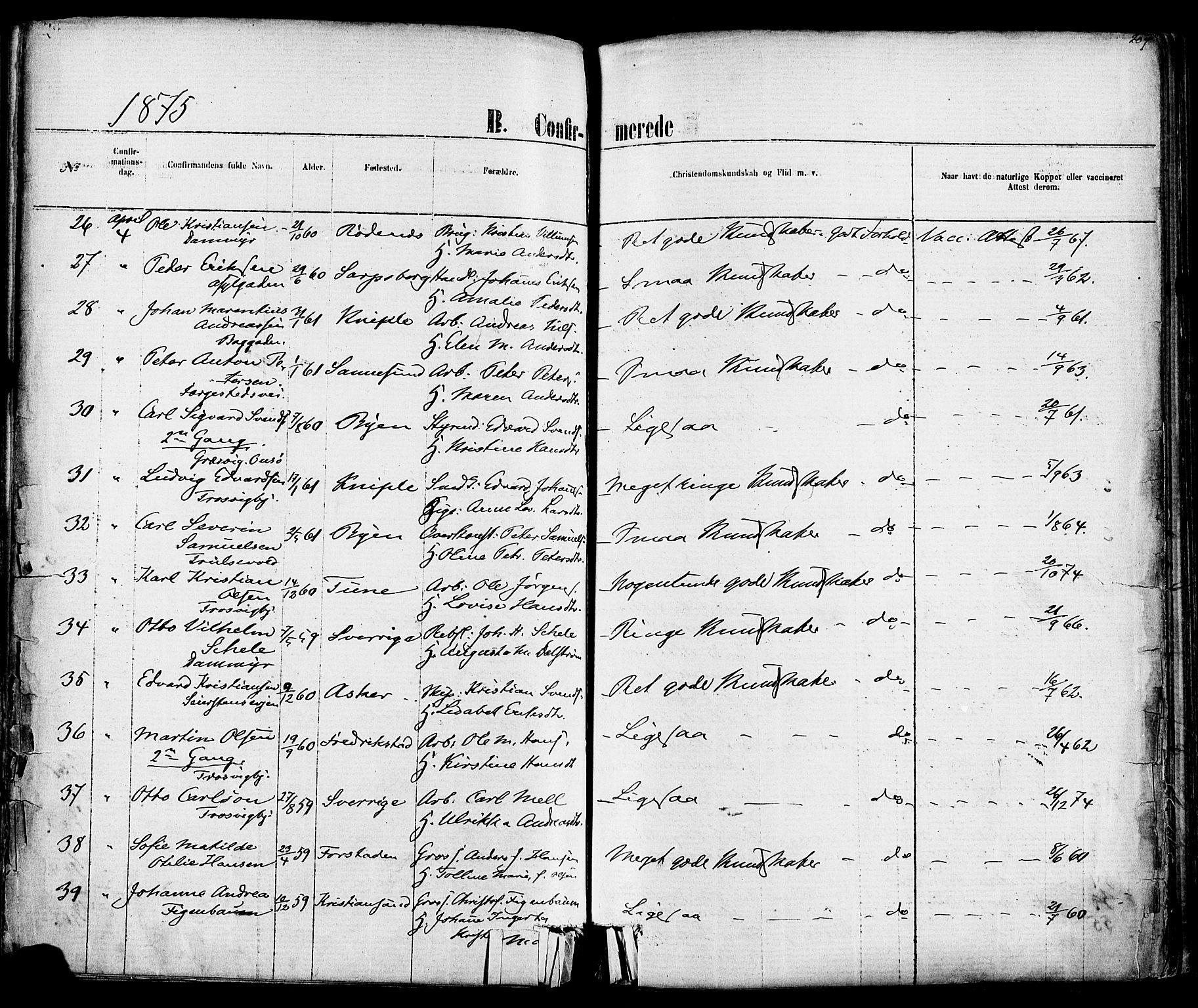 Fredrikstad domkirkes prestekontor Kirkebøker, AV/SAO-A-10906/F/Fa/L0001: Parish register (official) no. 1, 1871-1878, p. 207