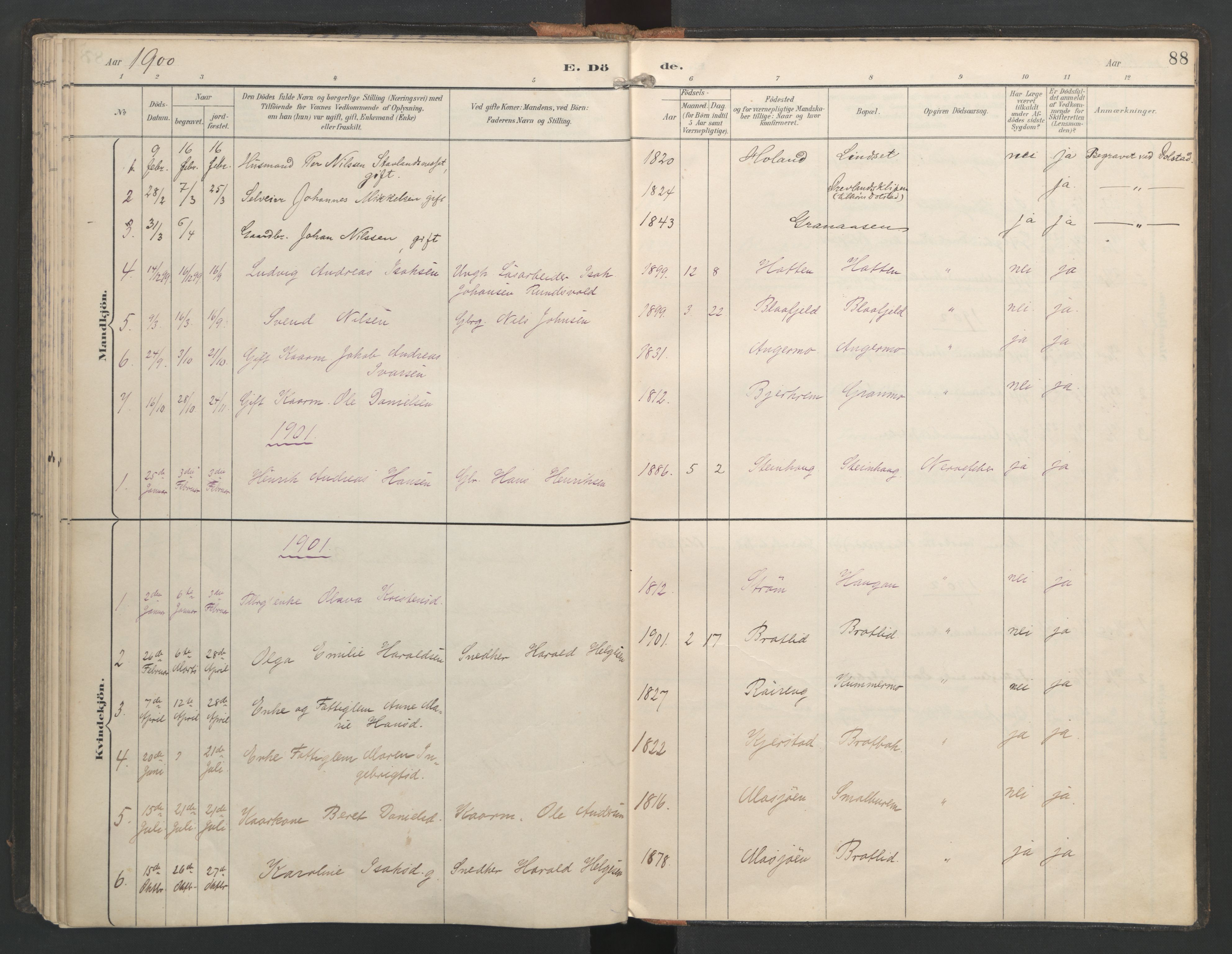 Ministerialprotokoller, klokkerbøker og fødselsregistre - Nordland, SAT/A-1459/821/L0317: Parish register (official) no. 821A01, 1892-1907, p. 88