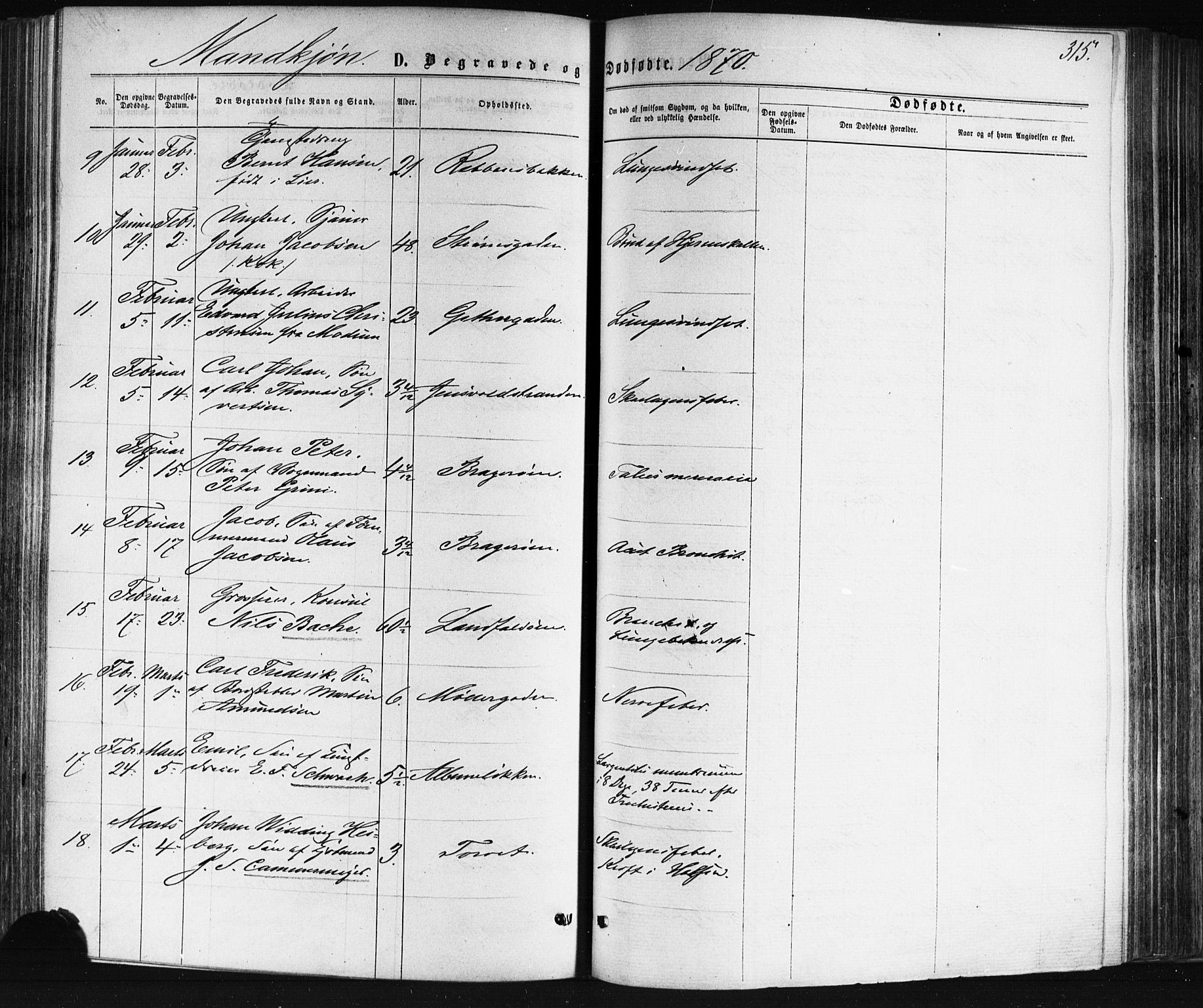 Bragernes kirkebøker, AV/SAKO-A-6/F/Fb/L0004: Parish register (official) no. II 4, 1869-1875, p. 315