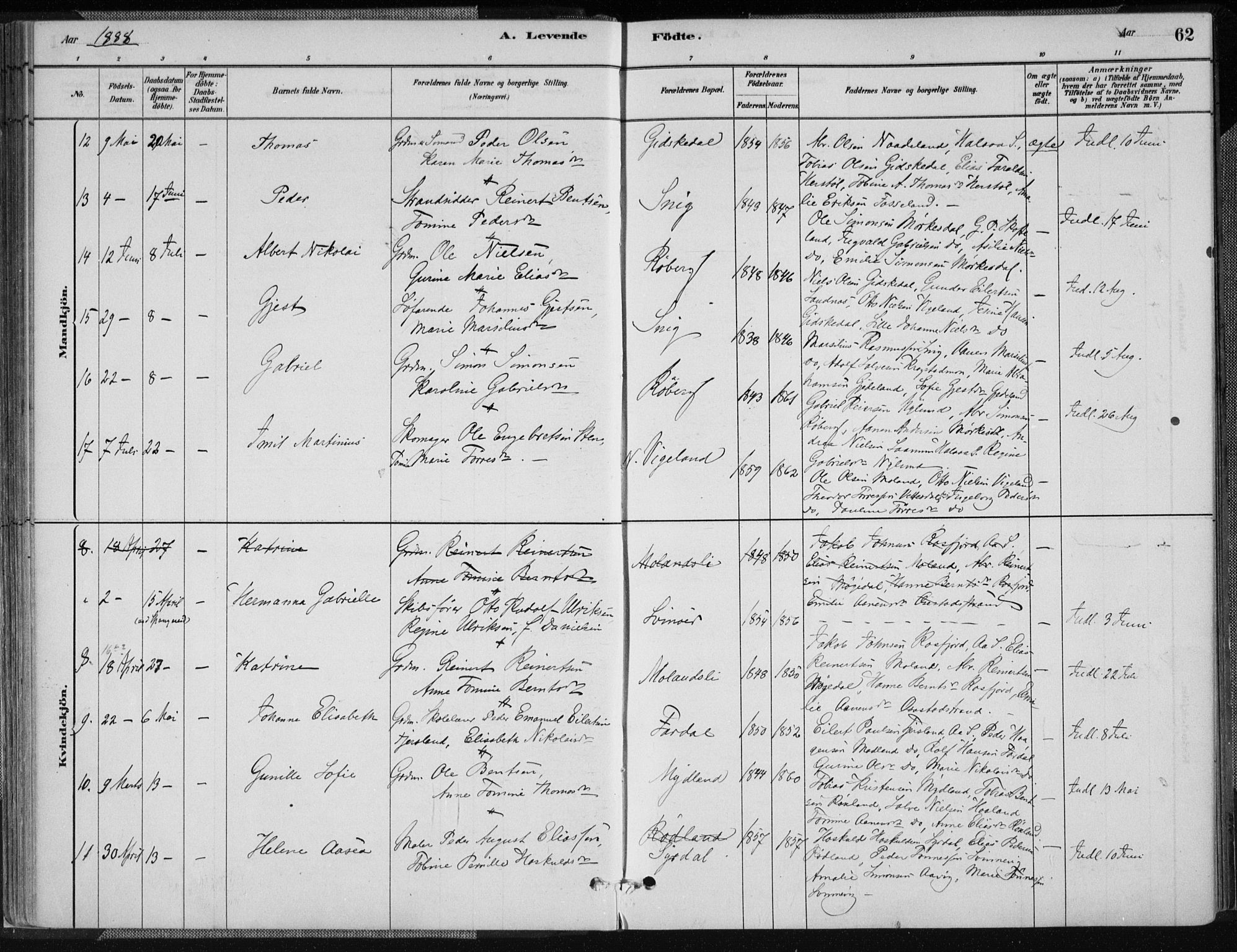 Sør-Audnedal sokneprestkontor, AV/SAK-1111-0039/F/Fa/Fab/L0009: Parish register (official) no. A 9, 1880-1895, p. 62