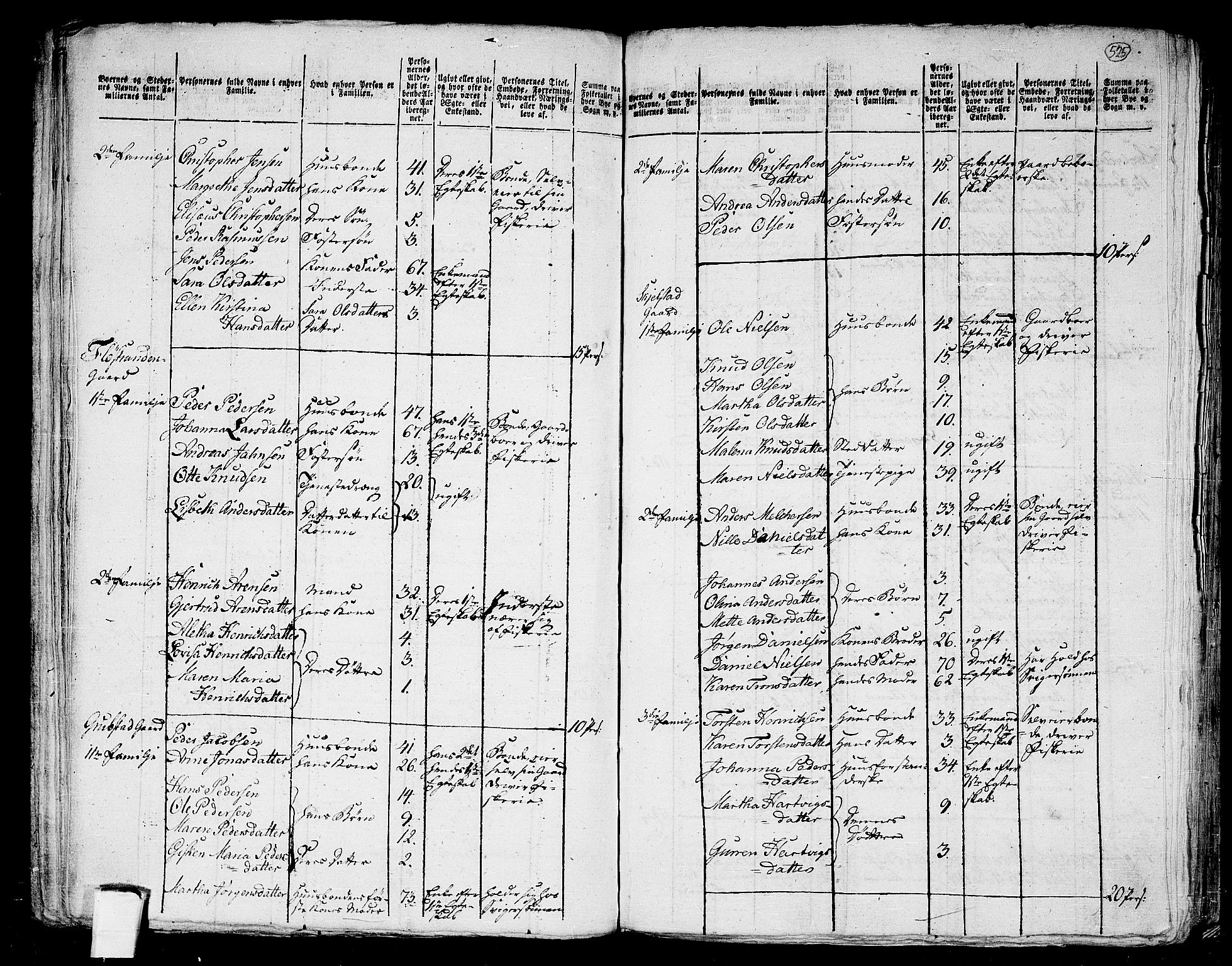 RA, 1801 census for 1848P Steigen, 1801, p. 524b-525a