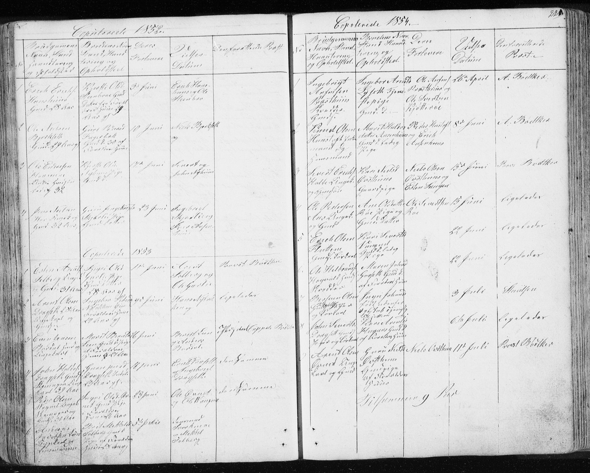 Ministerialprotokoller, klokkerbøker og fødselsregistre - Sør-Trøndelag, AV/SAT-A-1456/689/L1043: Parish register (copy) no. 689C02, 1816-1892, p. 221