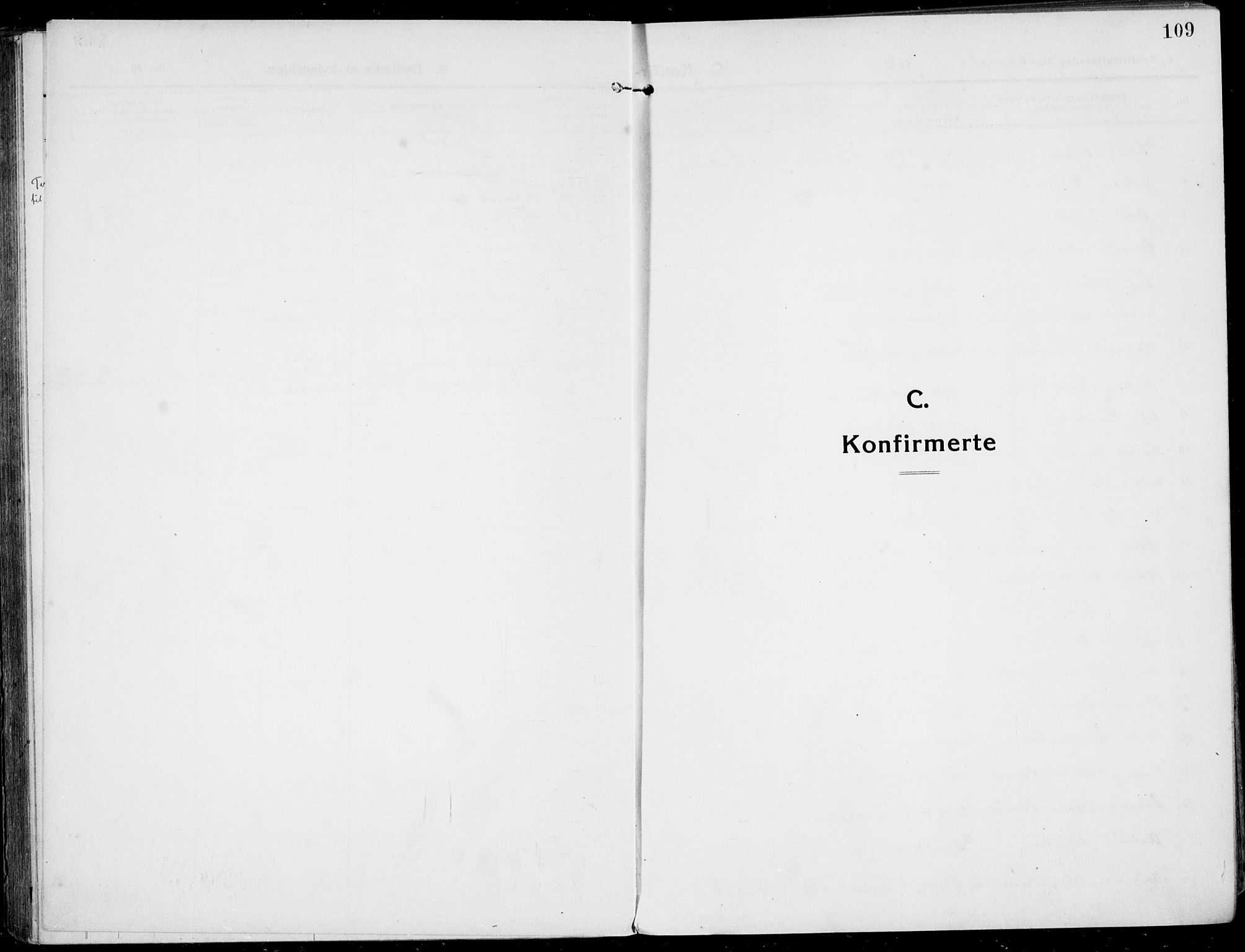 Rjukan kirkebøker, SAKO/A-294/F/Fa/L0002: Parish register (official) no. 2, 1912-1917, p. 109