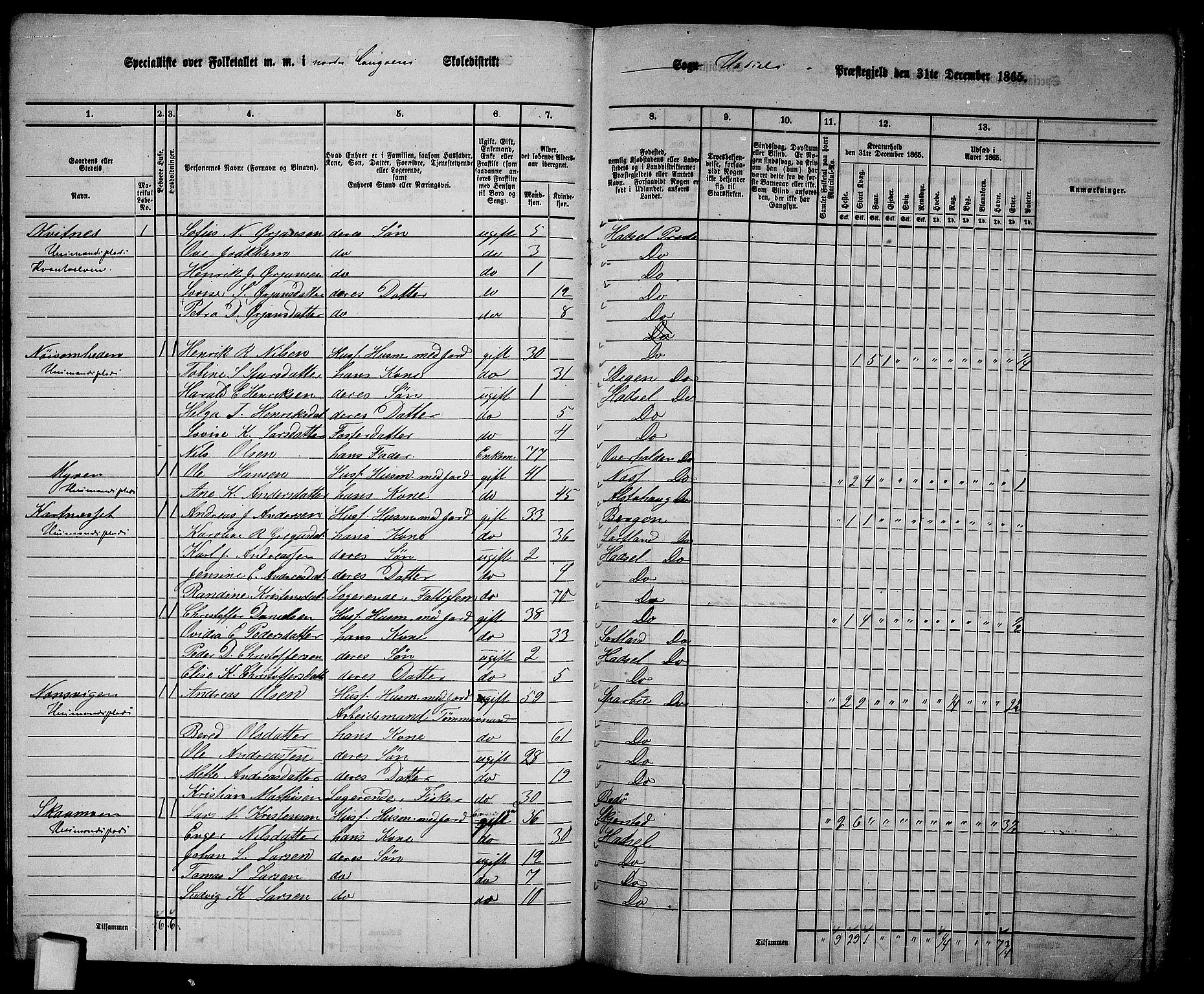 RA, 1865 census for Hadsel, 1865, p. 30