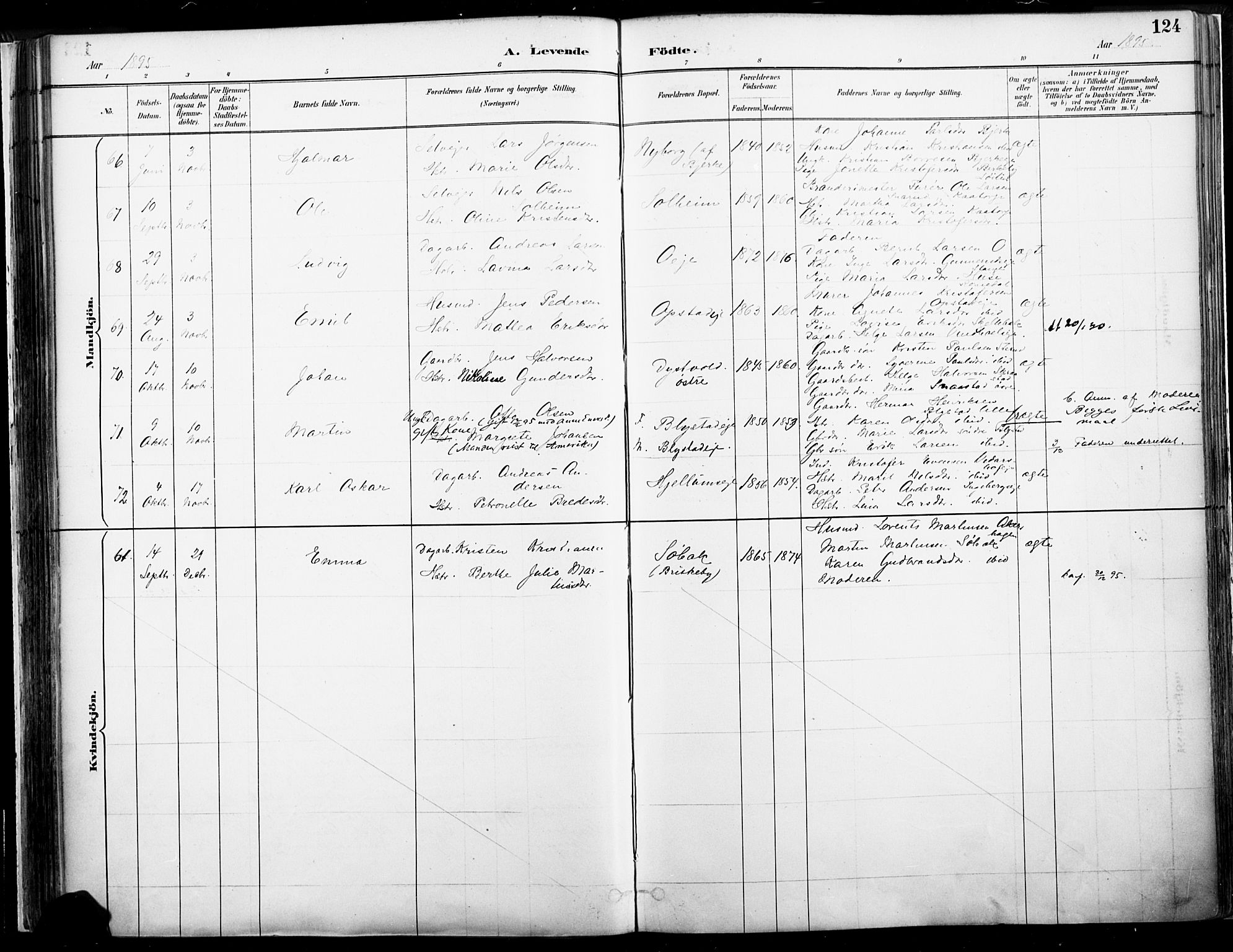 Vang prestekontor, Hedmark, SAH/PREST-008/H/Ha/Haa/L0019A: Parish register (official) no. 19, 1886-1900, p. 124