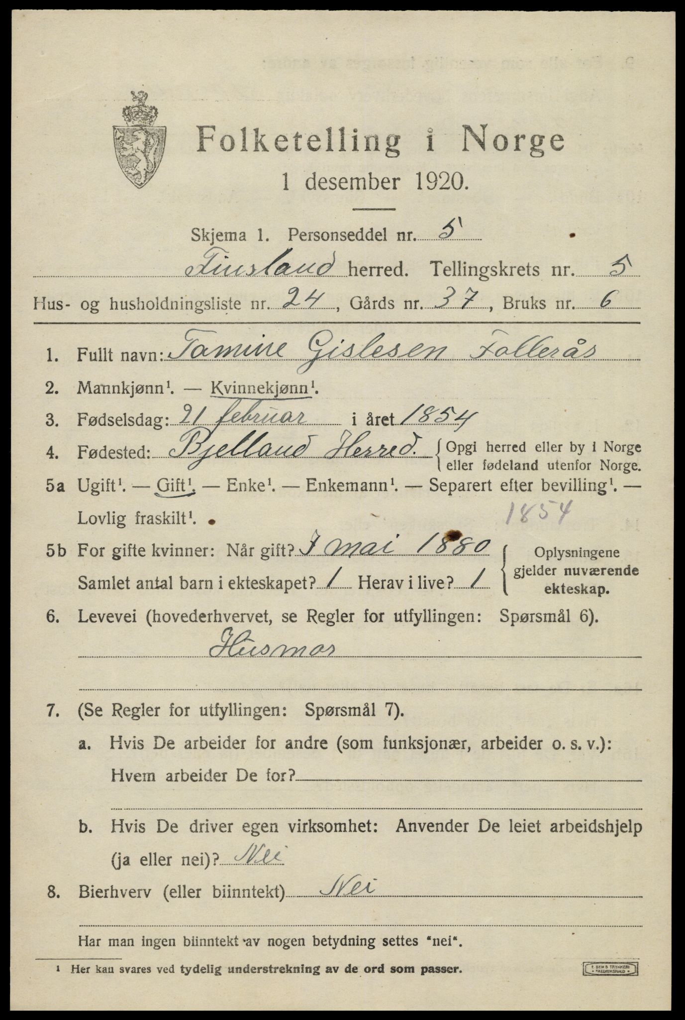 SAK, 1920 census for Finsland, 1920, p. 1996