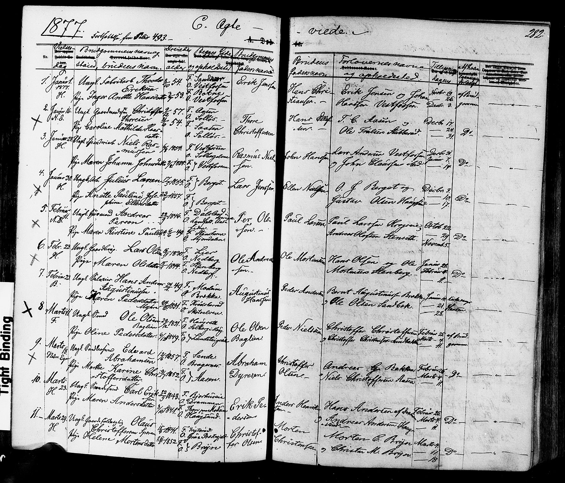 Eiker kirkebøker, SAKO/A-4/F/Fa/L0017: Parish register (official) no. I 17, 1869-1877, p. 282