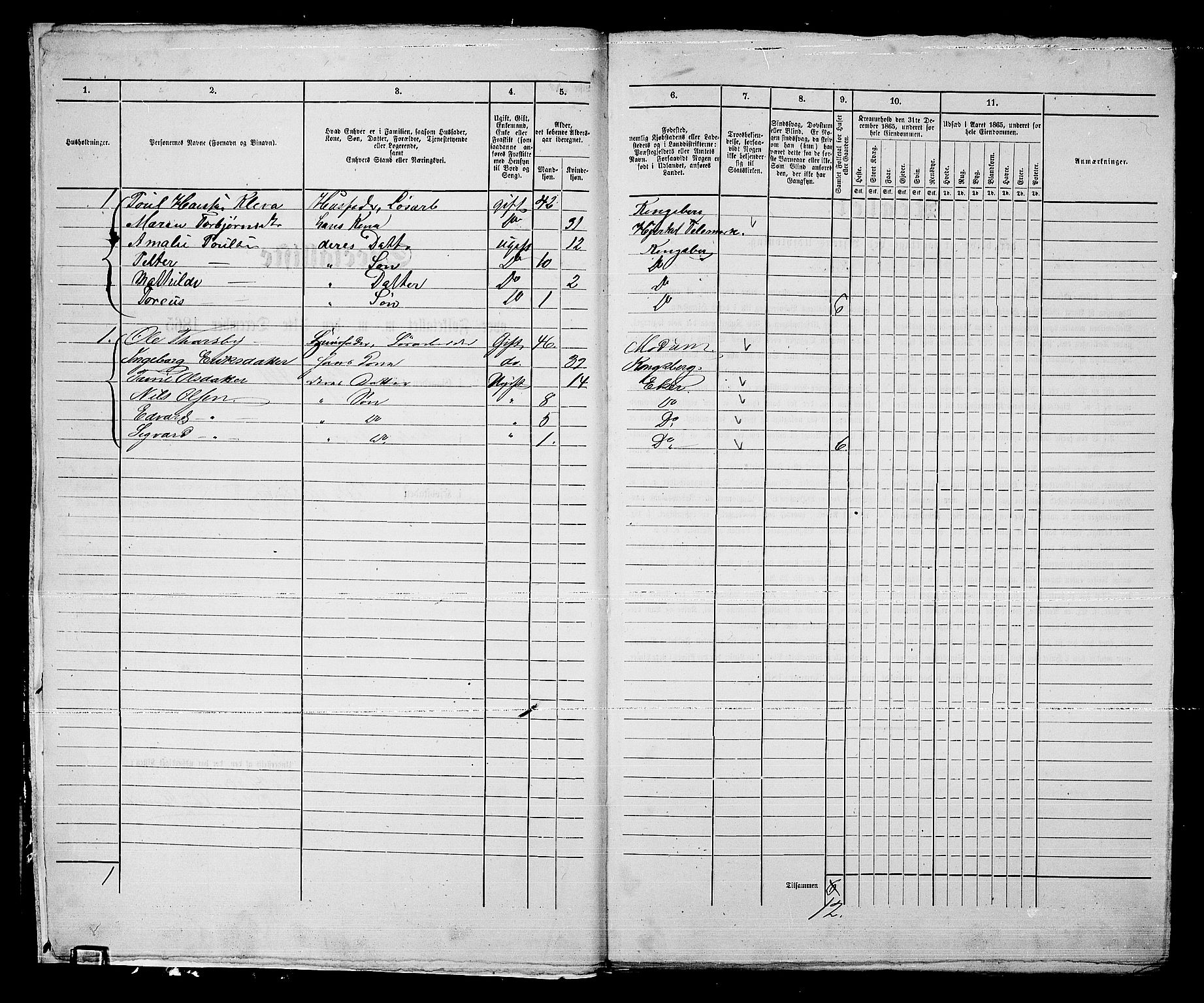 RA, 1865 census for Kongsberg/Kongsberg, 1865, p. 1015