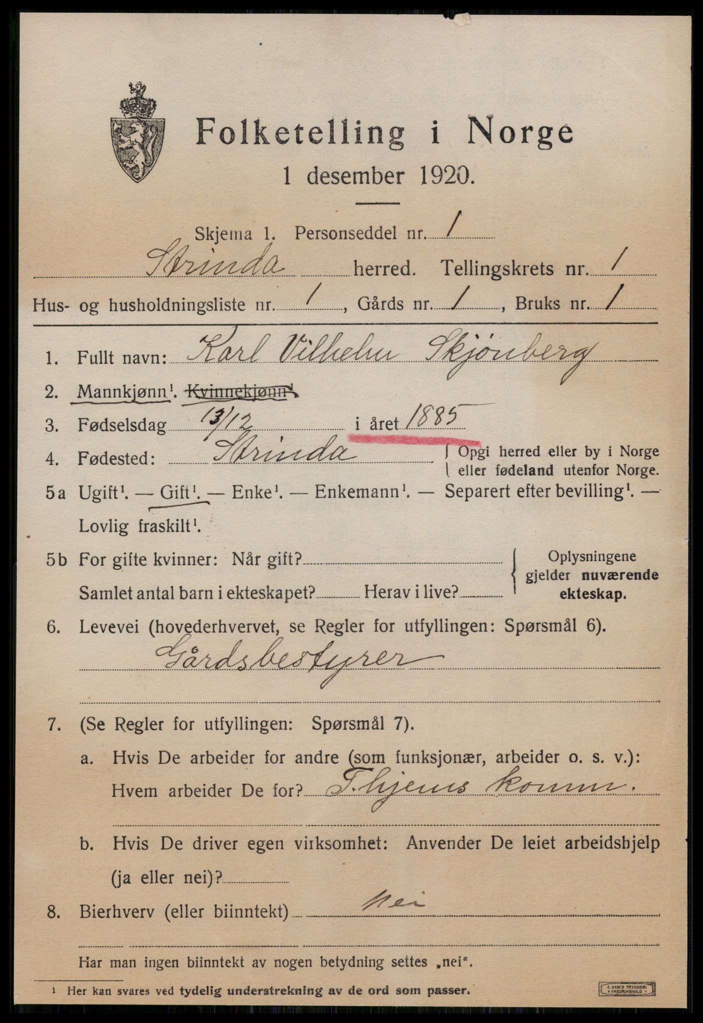 SAT, 1920 census for Strinda, 1920, p. 2916