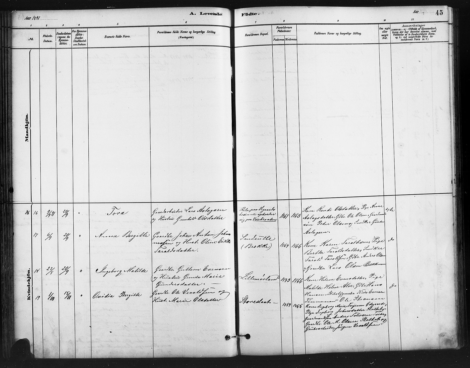 Austre Moland sokneprestkontor, AV/SAK-1111-0001/F/Fb/Fba/L0003: Parish register (copy) no. B 3, 1879-1914, p. 45