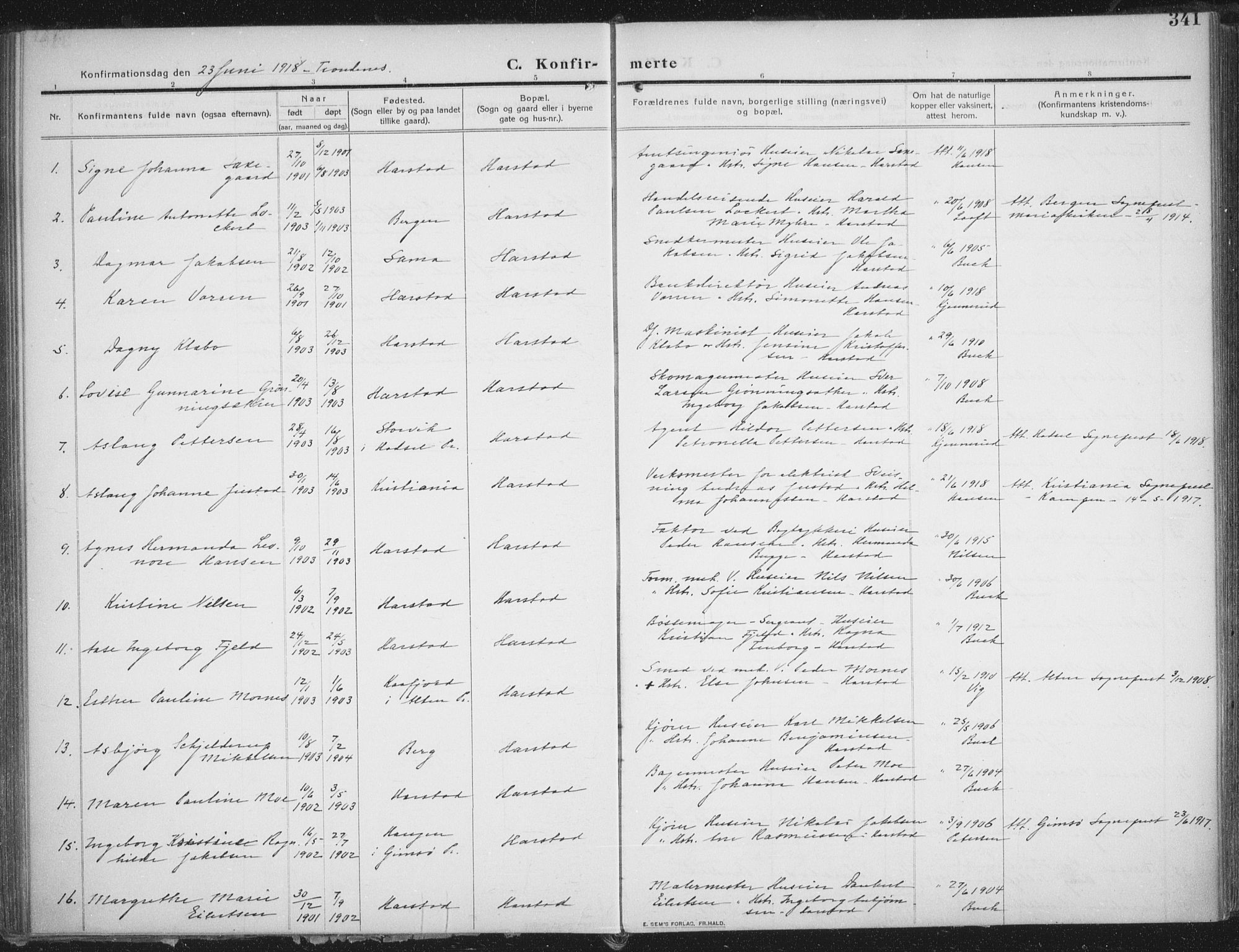 Trondenes sokneprestkontor, SATØ/S-1319/H/Ha/L0018kirke: Parish register (official) no. 18, 1909-1918, p. 341