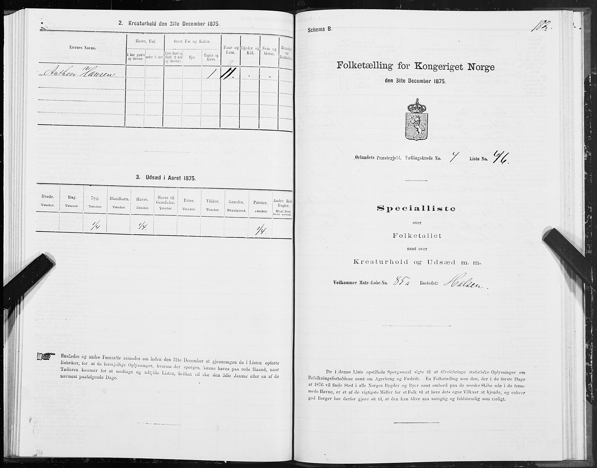 SAT, 1875 census for 1621P Ørland, 1875, p. 2182