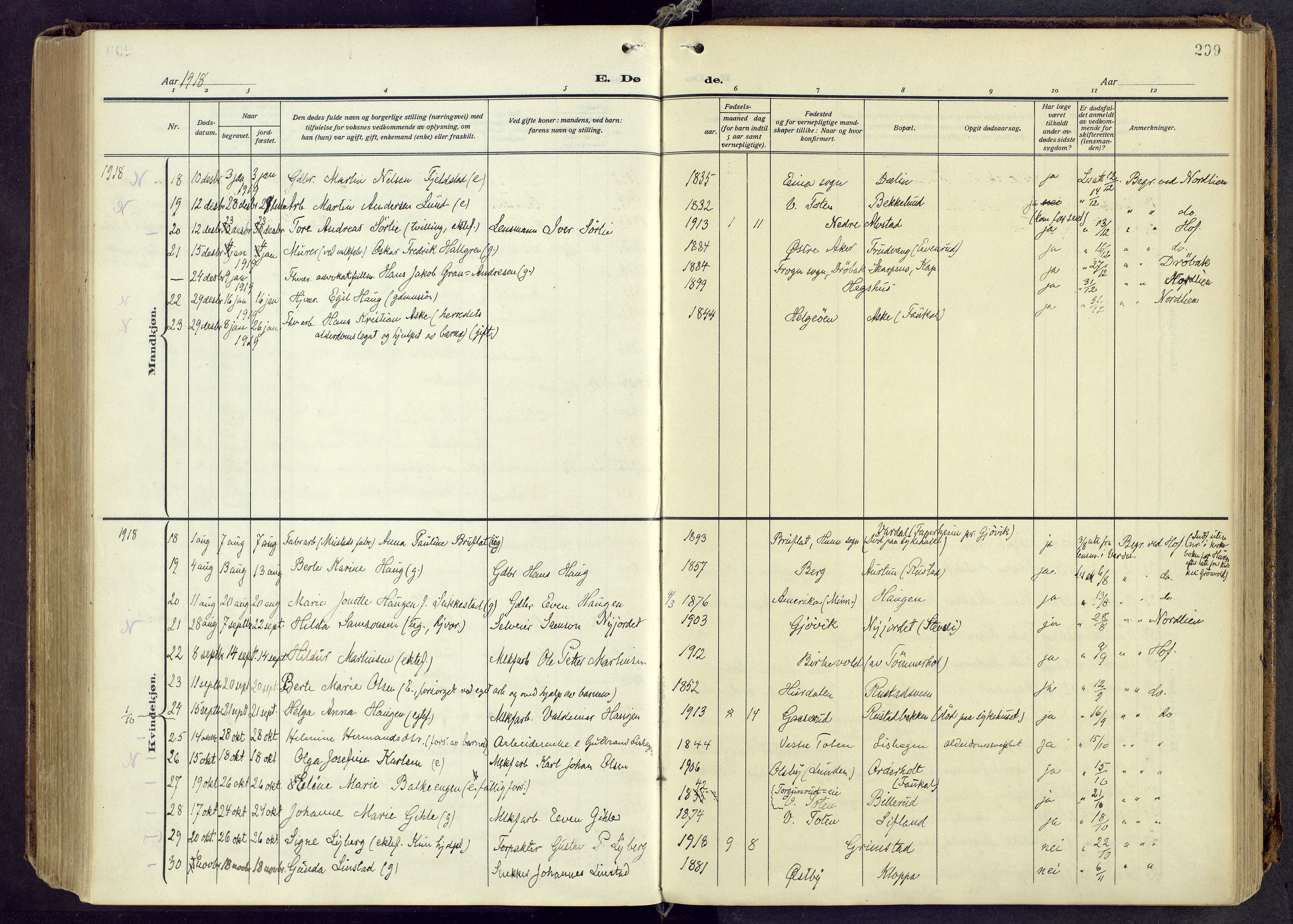 Østre Toten prestekontor, AV/SAH-PREST-104/H/Ha/Haa/L0010: Parish register (official) no. 10, 1910-1920, p. 299