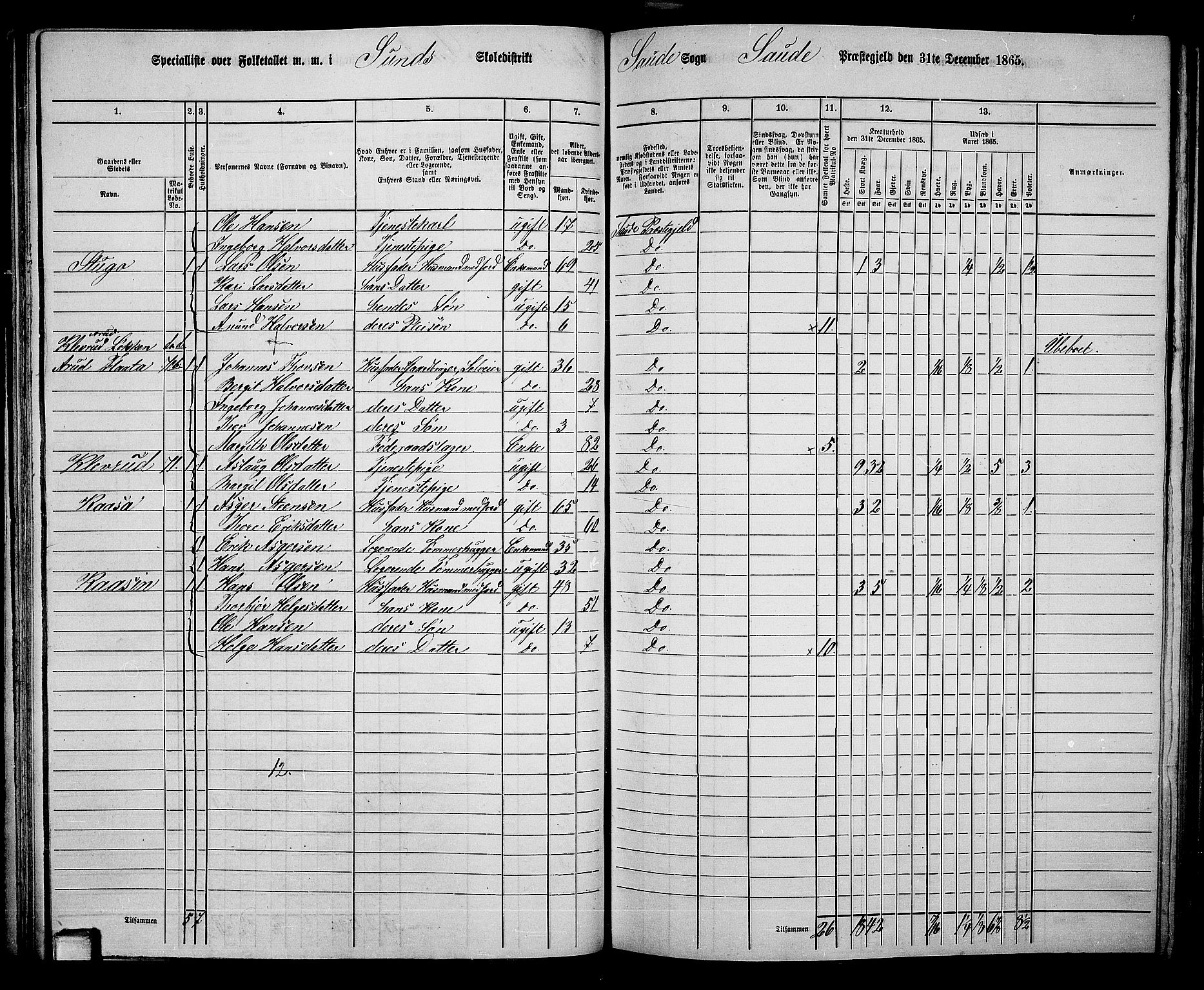 RA, 1865 census for Sauherad, 1865, p. 60