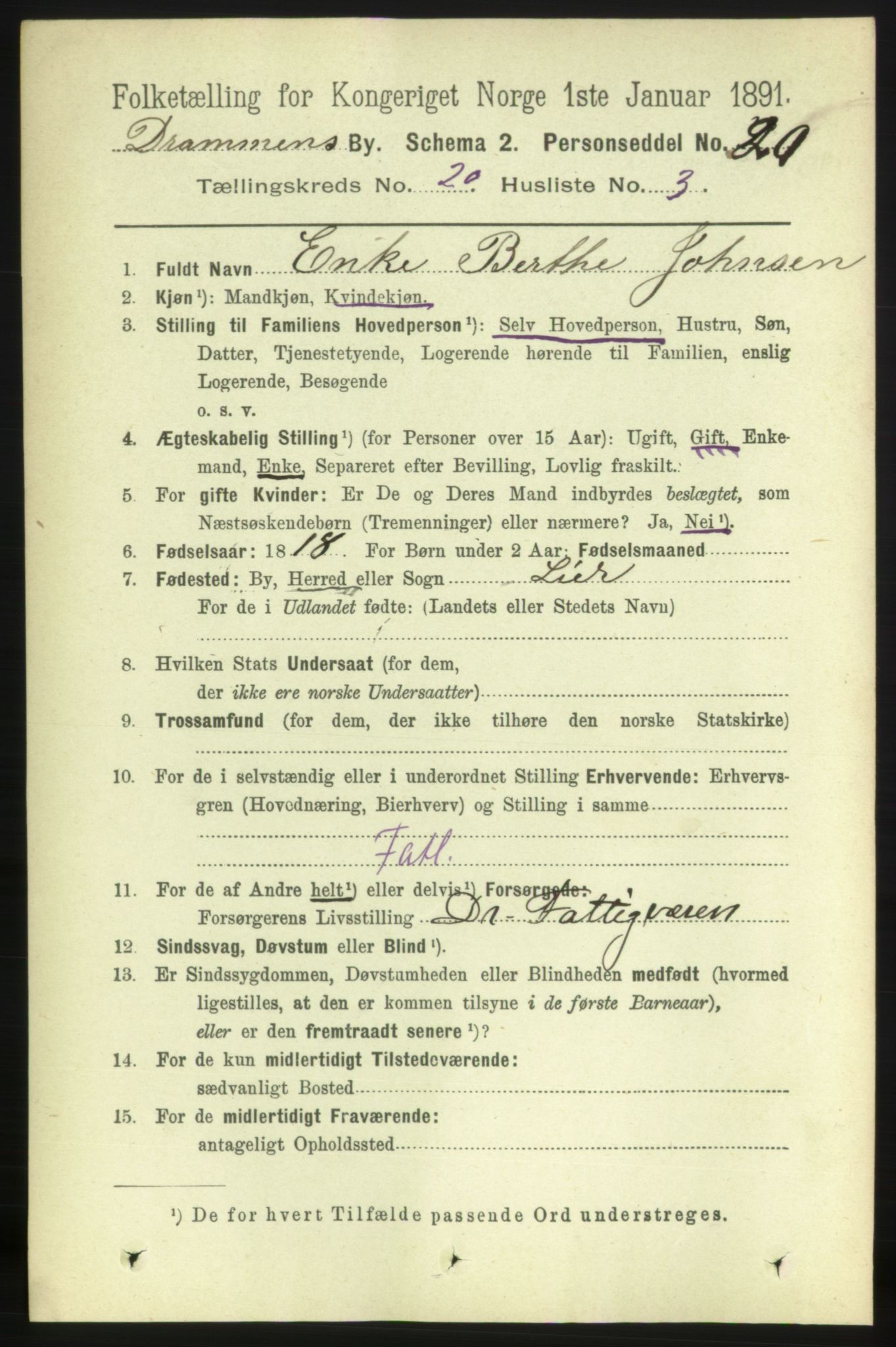 RA, 1891 census for 0602 Drammen, 1891, p. 12546