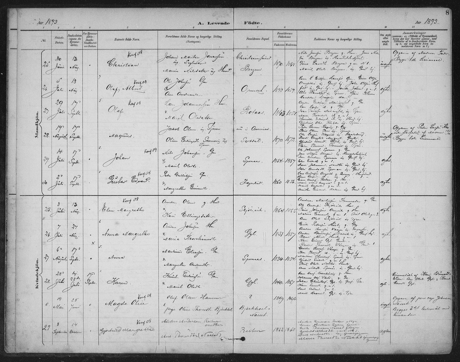 Ministerialprotokoller, klokkerbøker og fødselsregistre - Møre og Romsdal, AV/SAT-A-1454/586/L0988: Parish register (official) no. 586A14, 1893-1905, p. 8