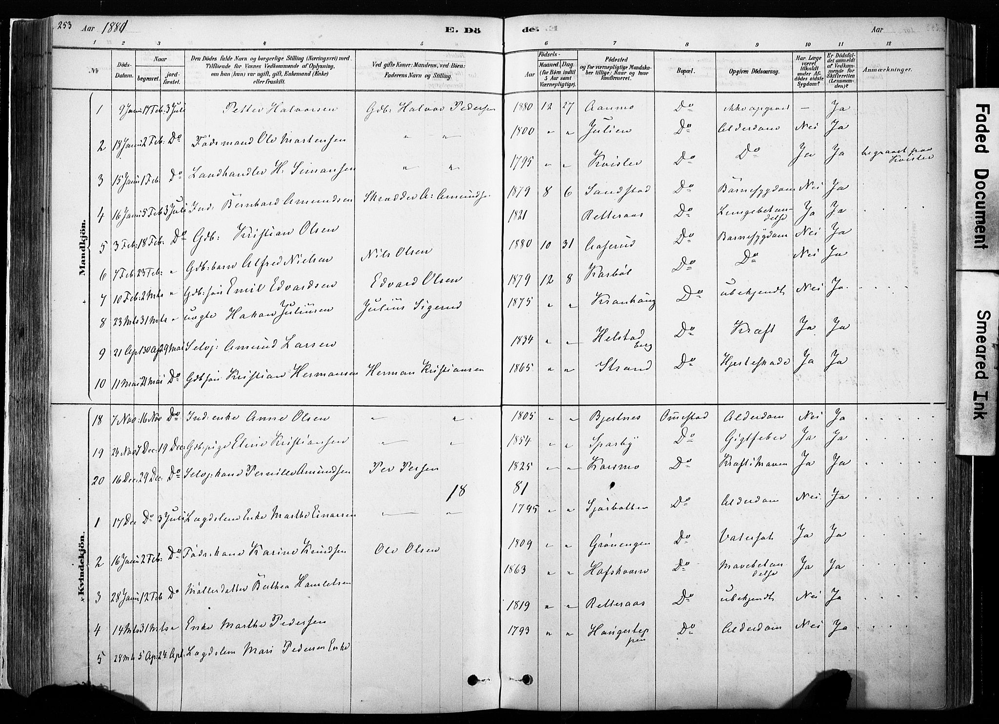 Hof prestekontor, AV/SAH-PREST-038/H/Ha/Haa/L0010: Parish register (official) no. 10, 1878-1909, p. 253