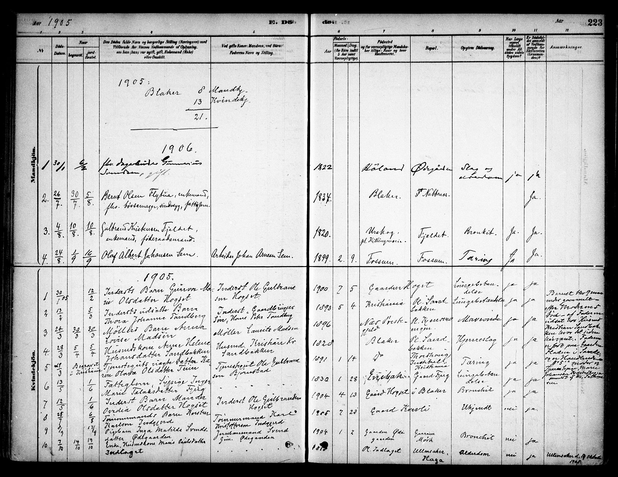 Aurskog prestekontor Kirkebøker, SAO/A-10304a/F/Fb/L0001: Parish register (official) no. II 1, 1878-1909, p. 223