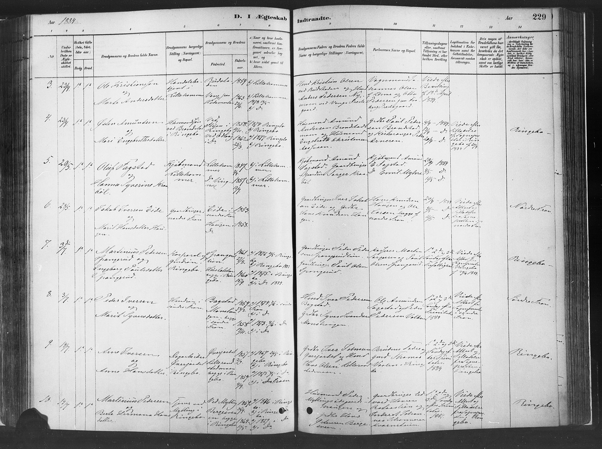 Fåberg prestekontor, SAH/PREST-086/H/Ha/Haa/L0010: Parish register (official) no. 10, 1879-1900, p. 229