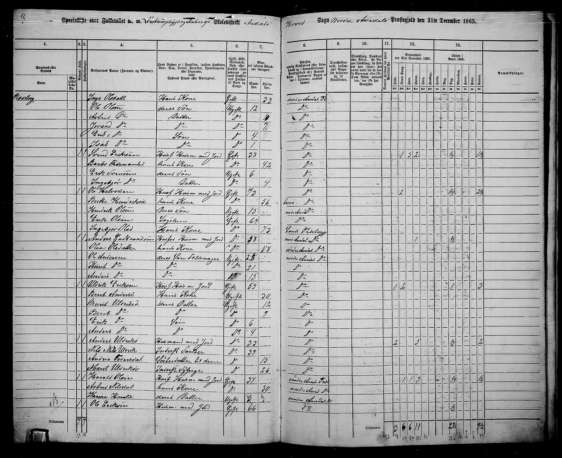 RA, 1865 census for Nord-Aurdal, 1865, p. 216